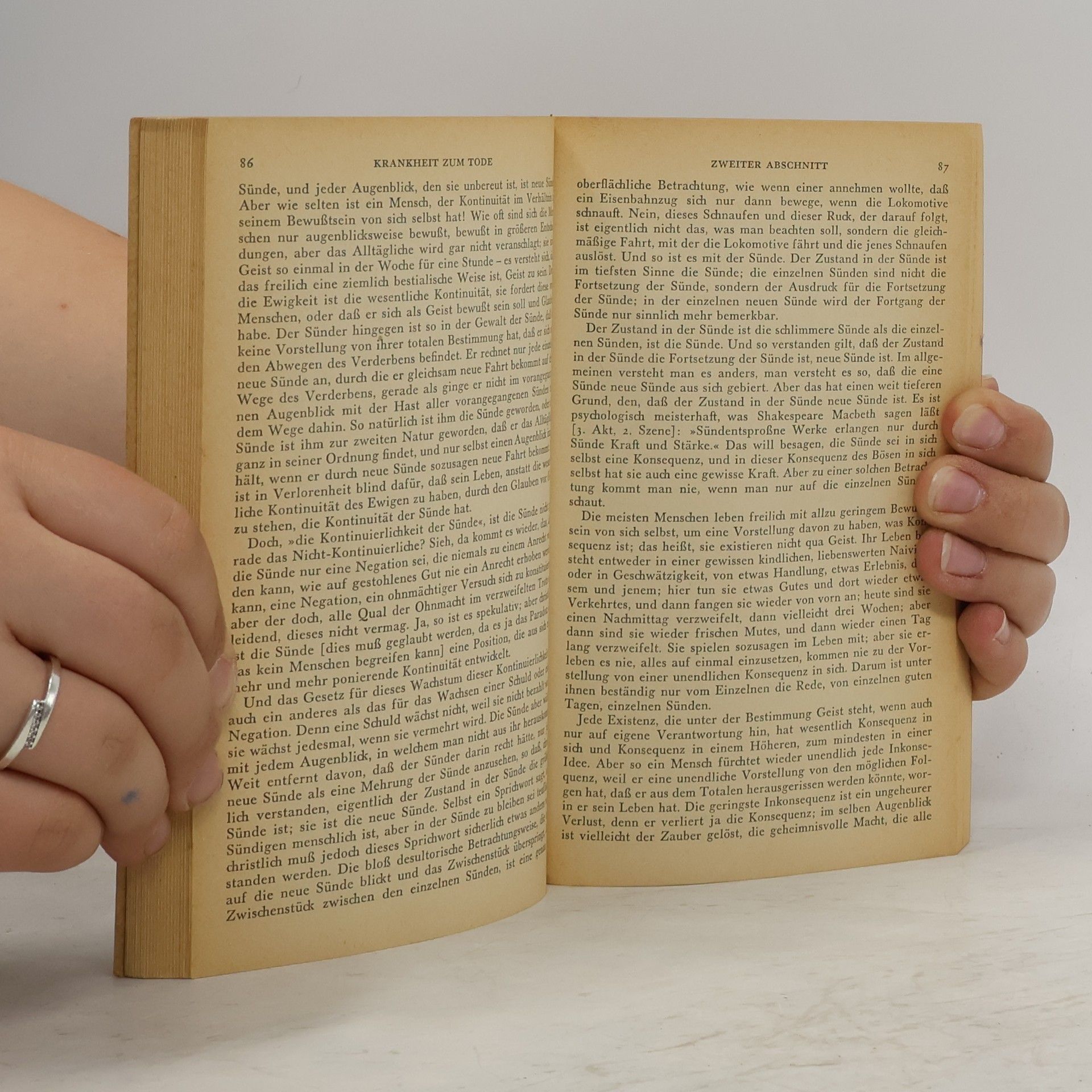 Søren Kierkegaard Die Krankheit zum Tode. Furcht und Zittern