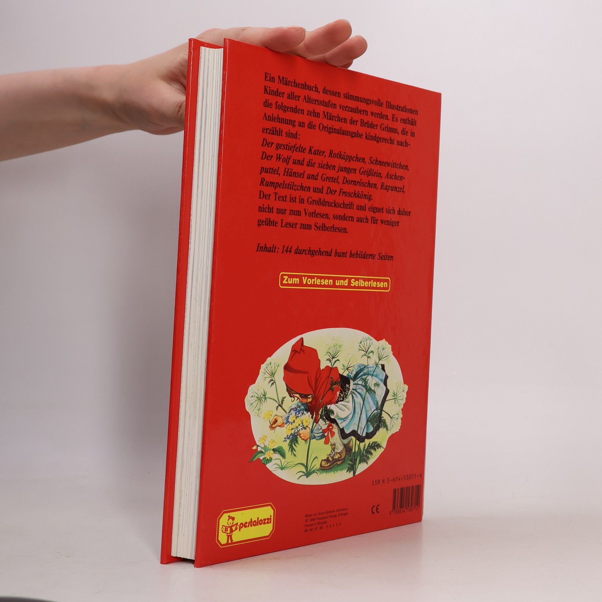 Autorenkollektiv Mein Märchenbuch