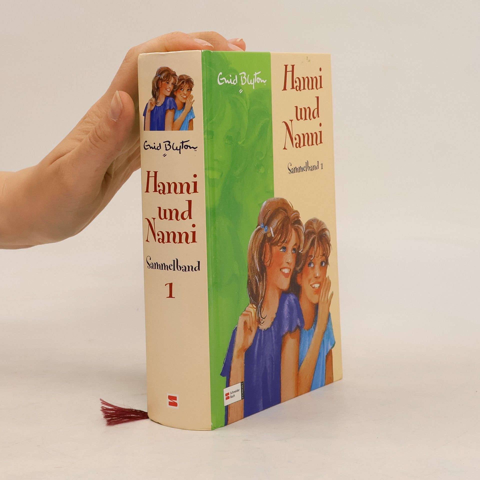 Enid Blyton Hanni und Nanni