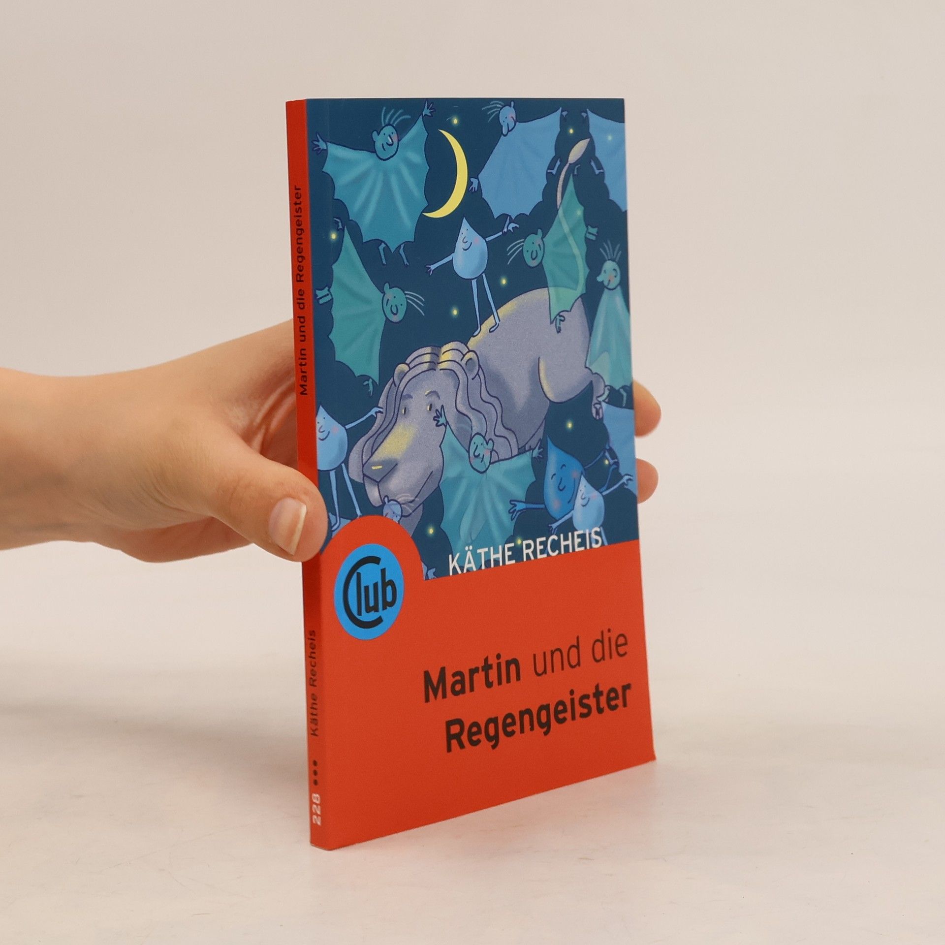 Käthe Recheis Martin und die Regengeister