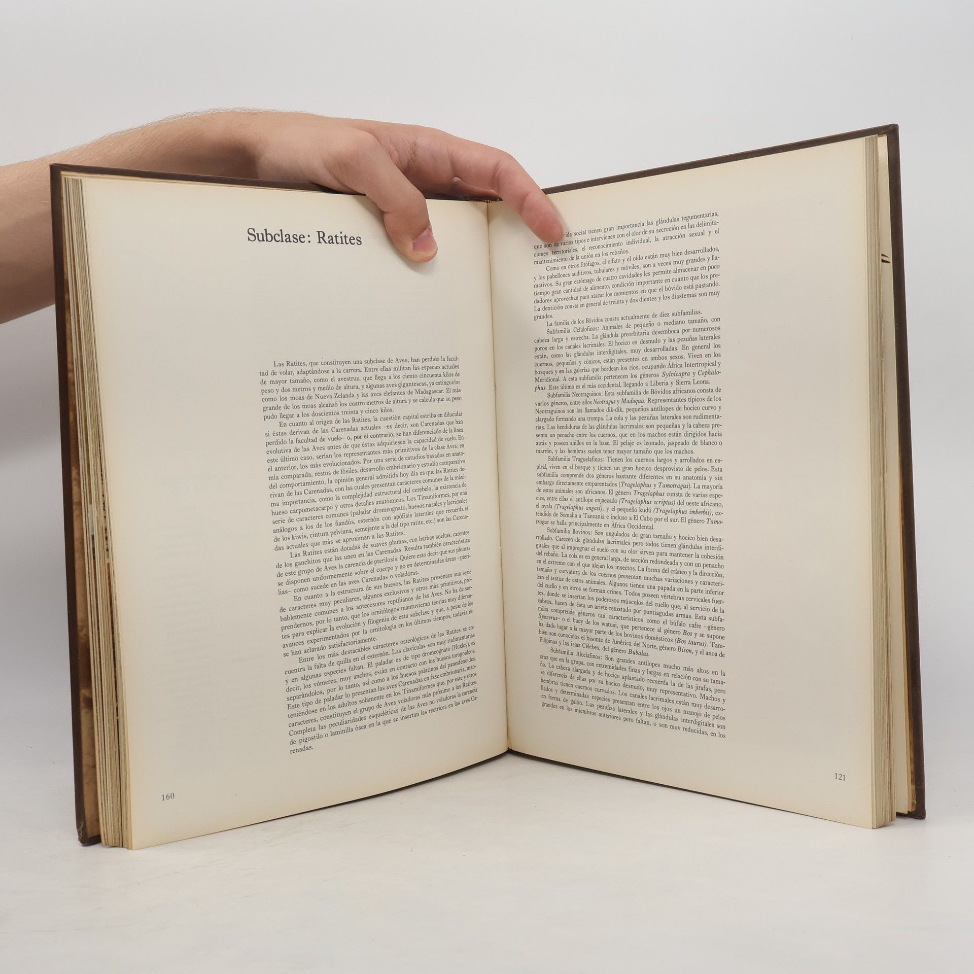 Various authors Enciclopedia Salvat de la Fauna 4