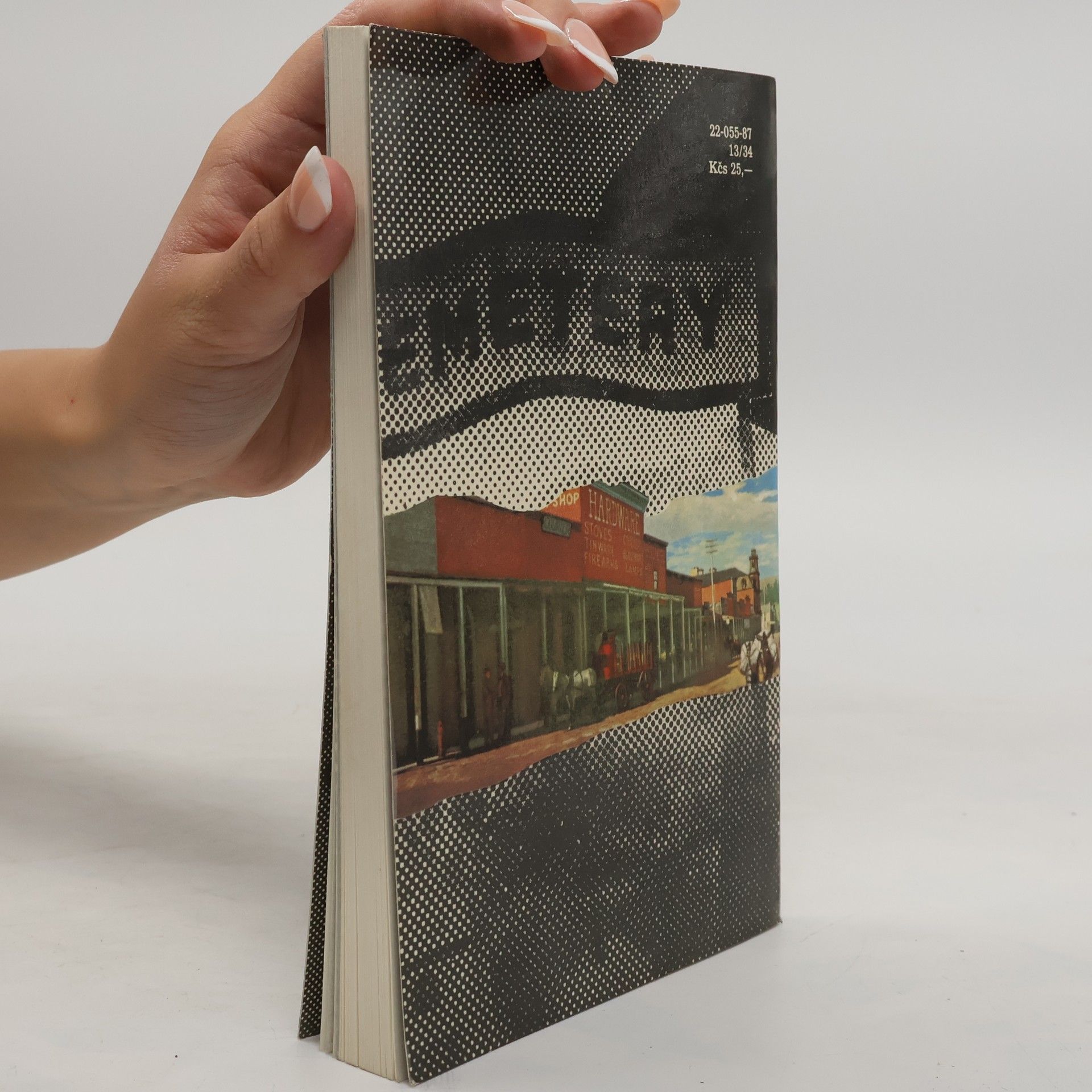 E. L. Doctorow Vítejte do zlých časů