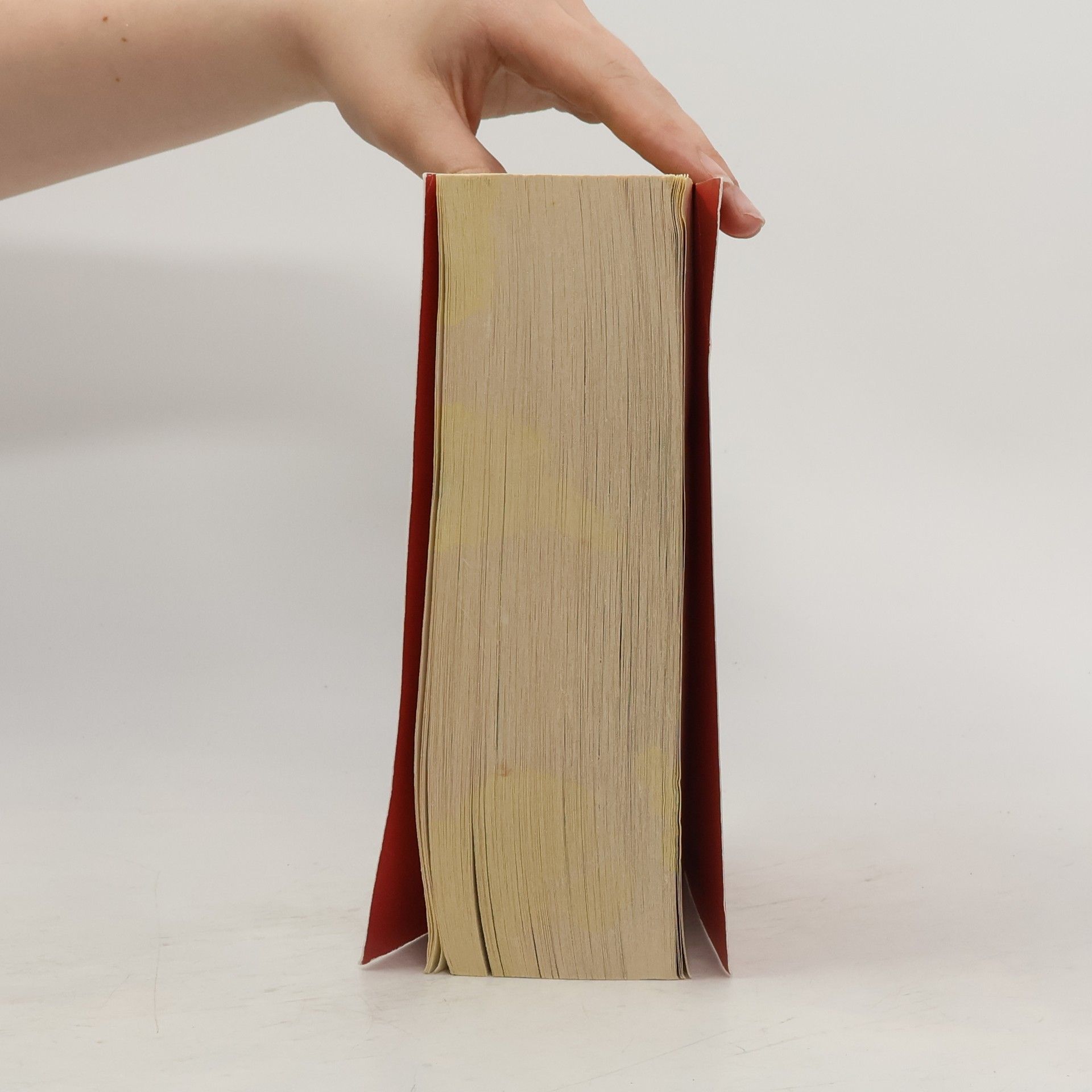 Stephenie Meyer Breaking dawn
