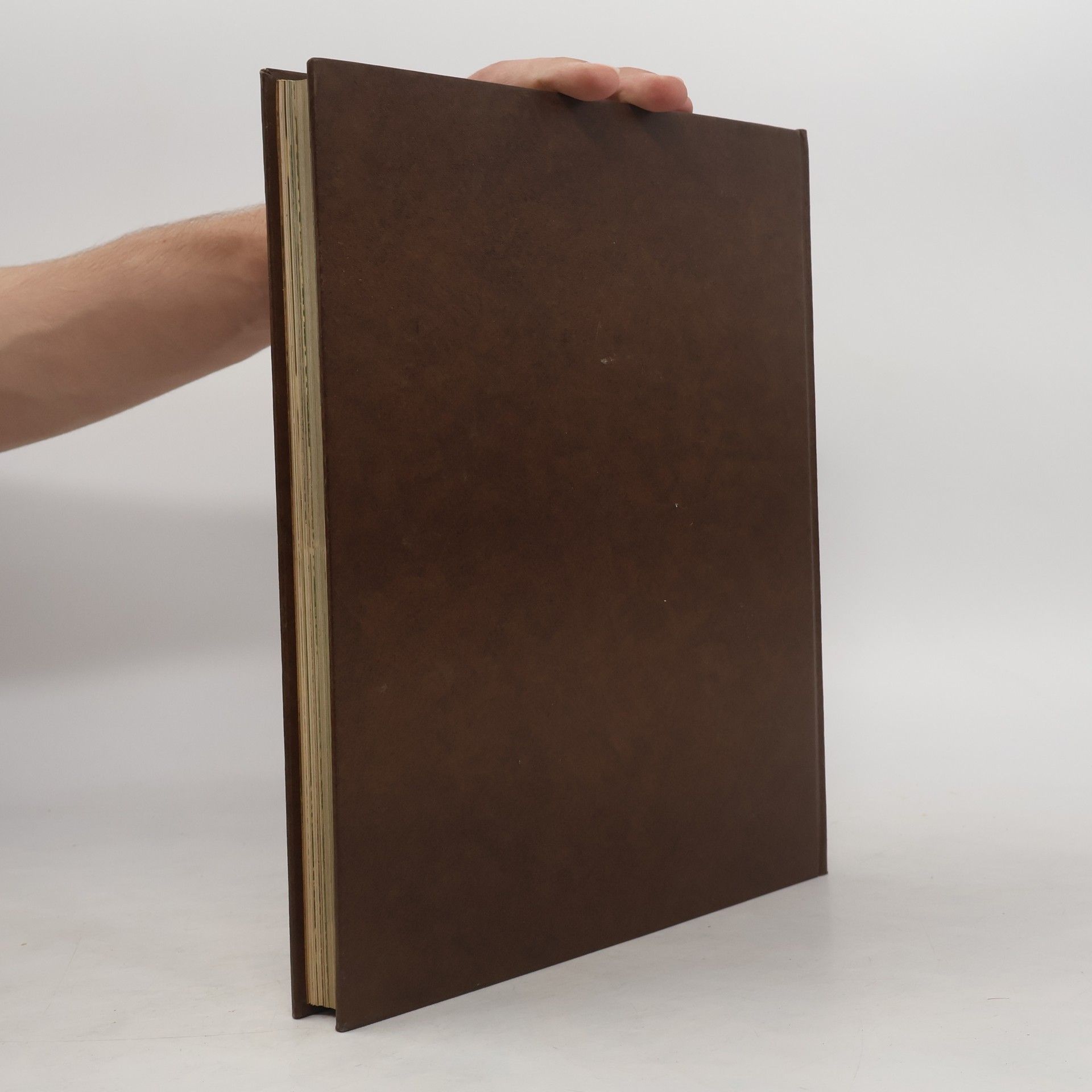 Autores varios Fauna 5