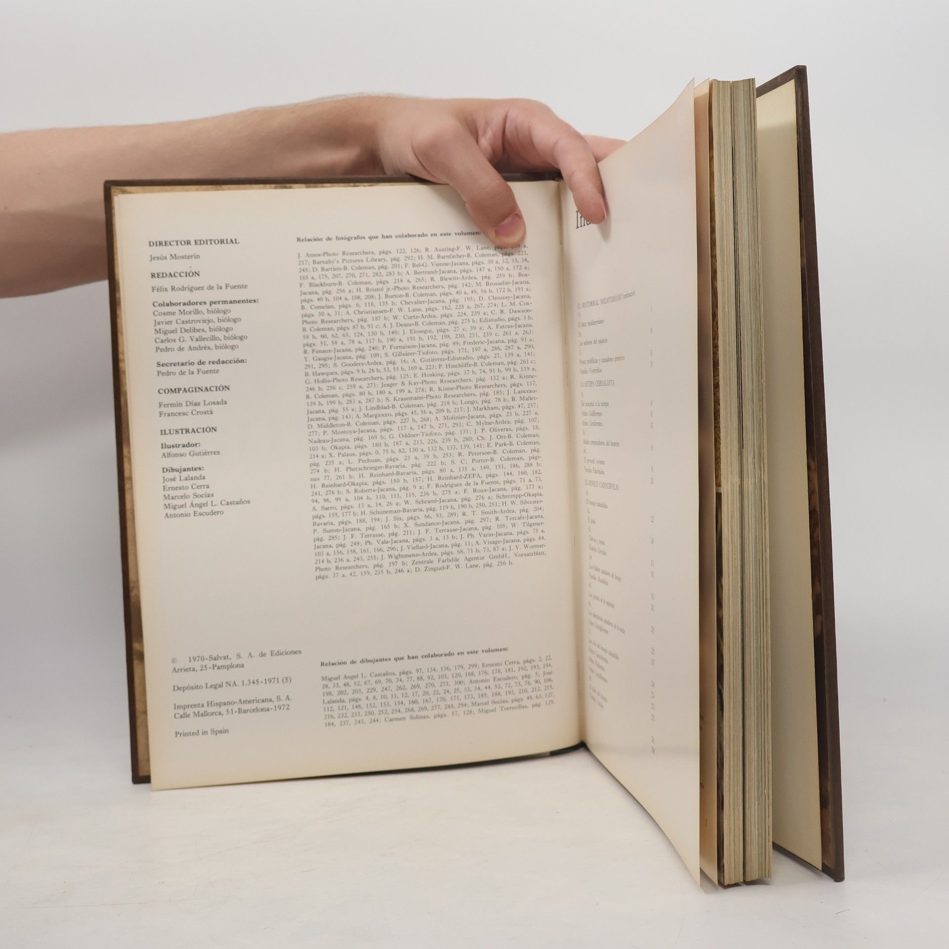 Autores varios Fauna 5