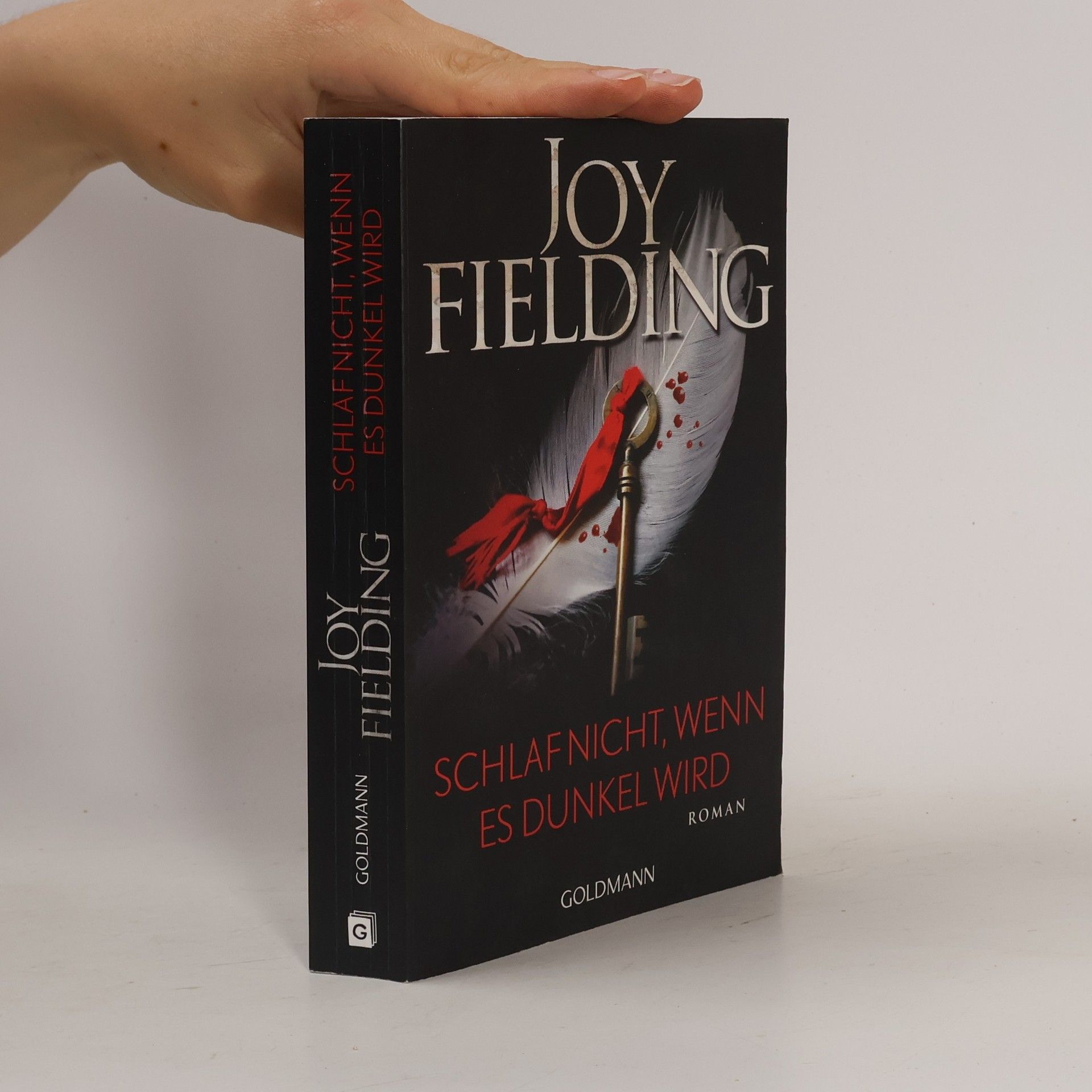 Joy Fielding Schlaf nicht, wenn es dunkel wird