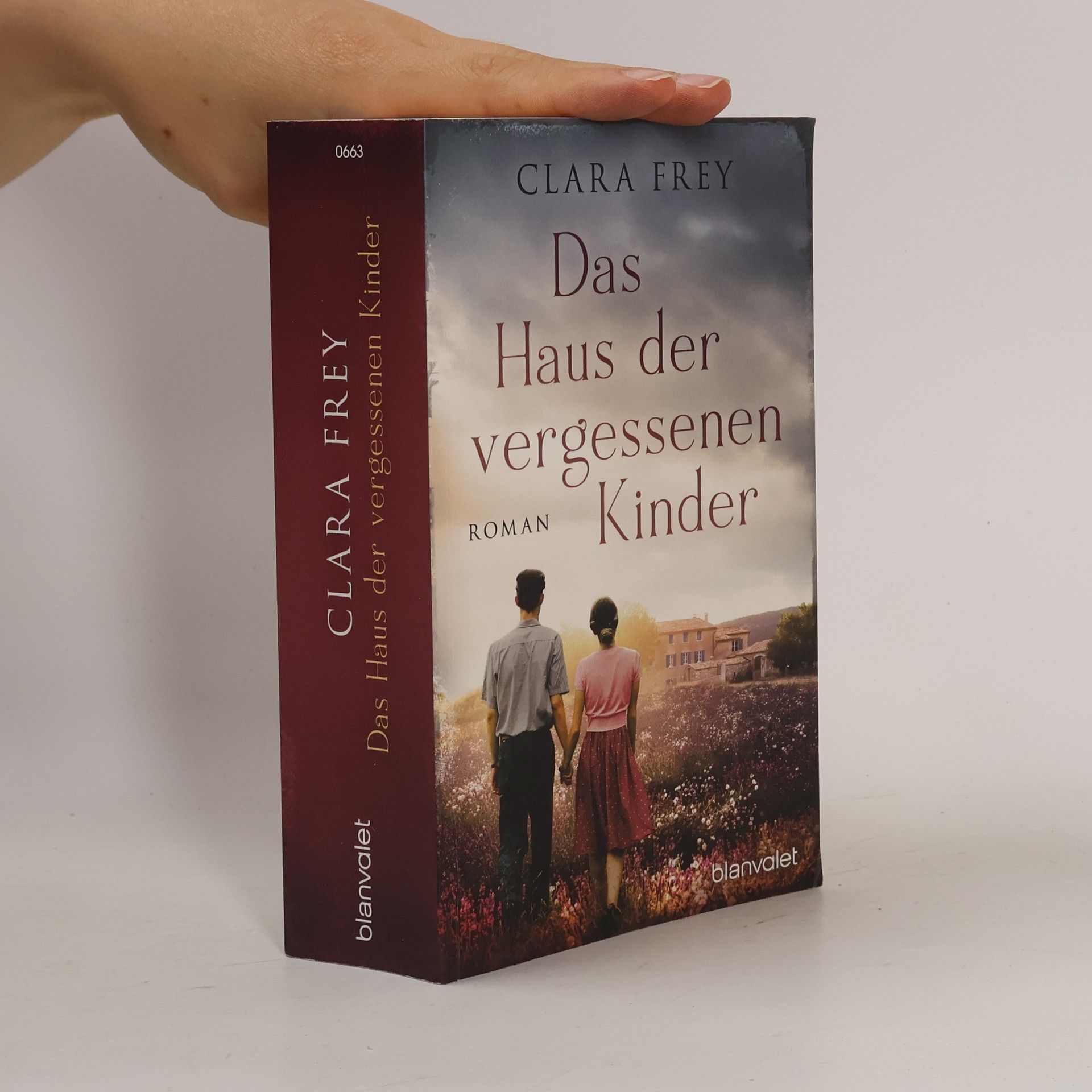 Clara Frey Das Haus der vergessenen Kinder