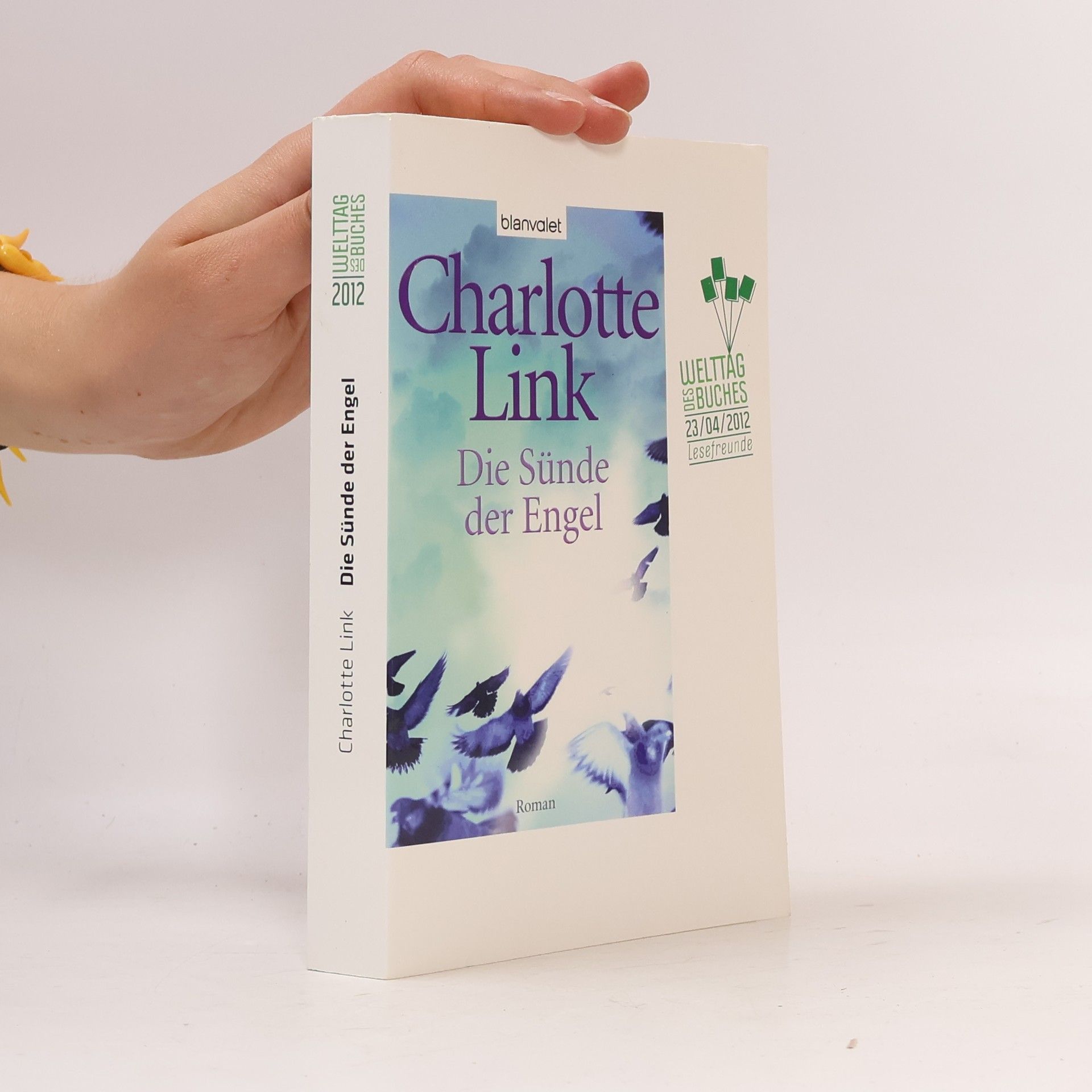 Charlotte Link Die Sünde der Engel