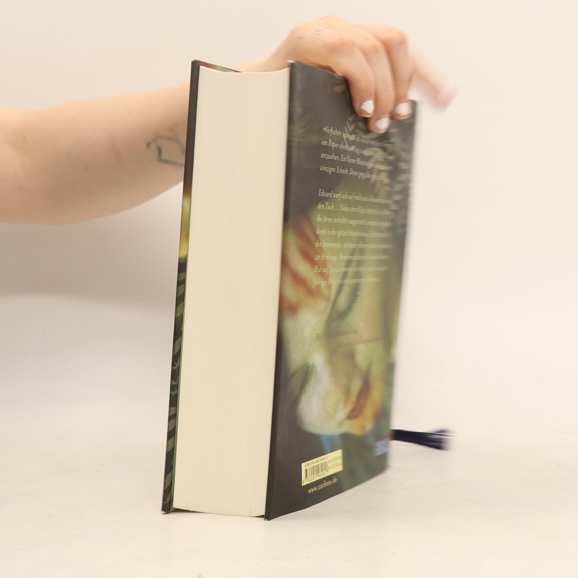 Stephenie Meyer Biss zur Mittagsstunde