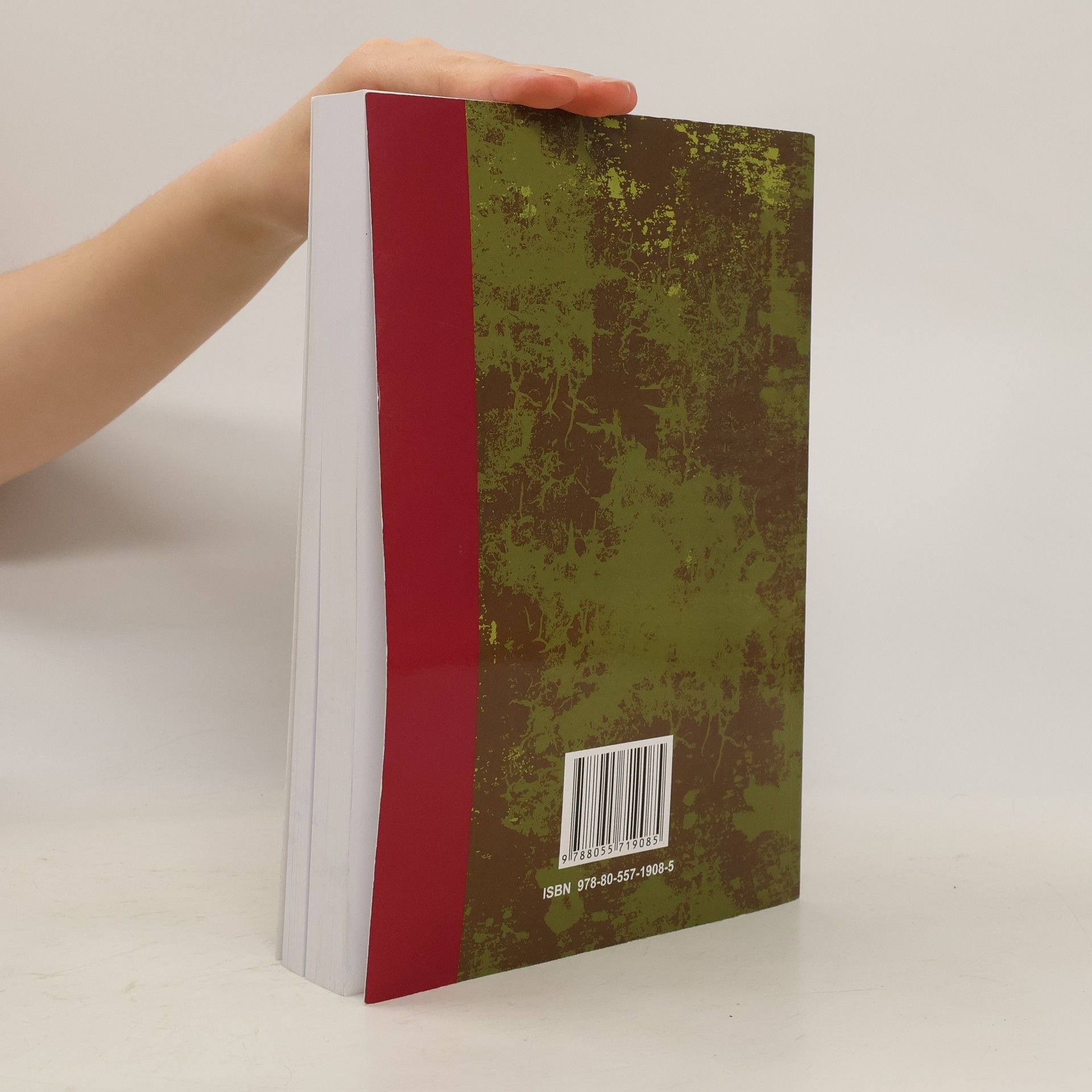 Collectif d'auteurs Dejiny štátu a práva na území Slovenska 2
