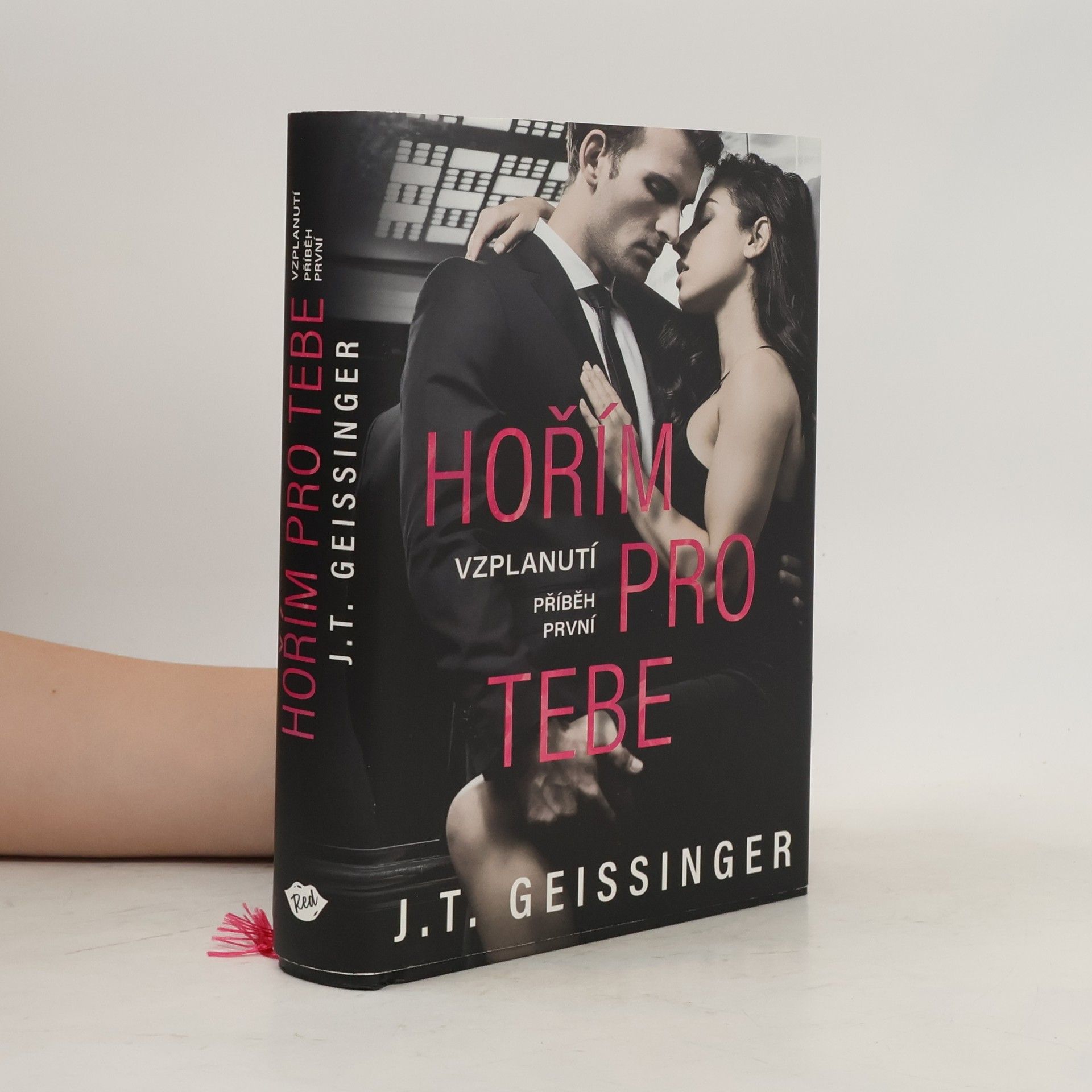 J. T. Geissinger Hořím pro tebe. Příběh první, Vzplanutí