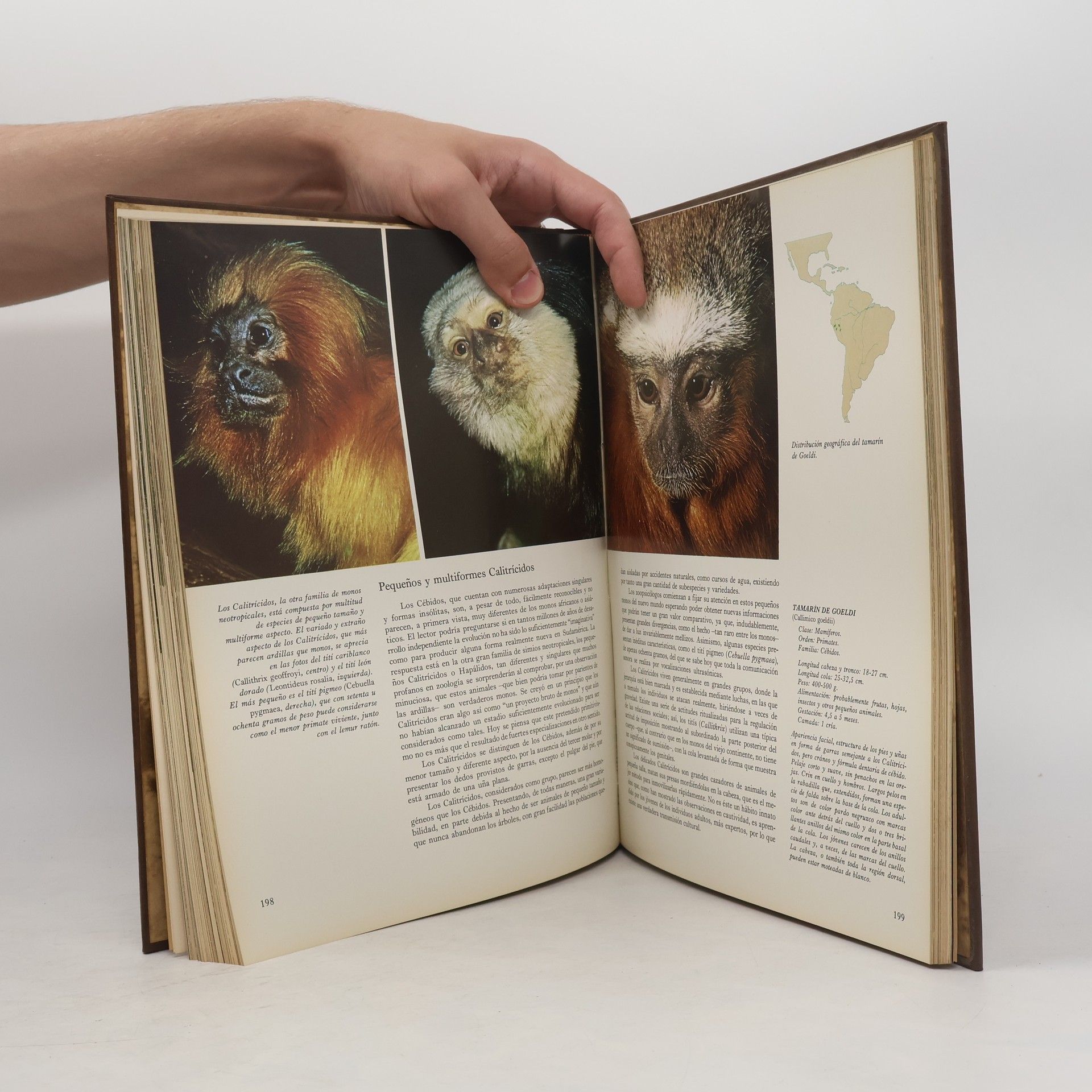 AA.VV. Enciclopedia Salvat de la Fauna 8
