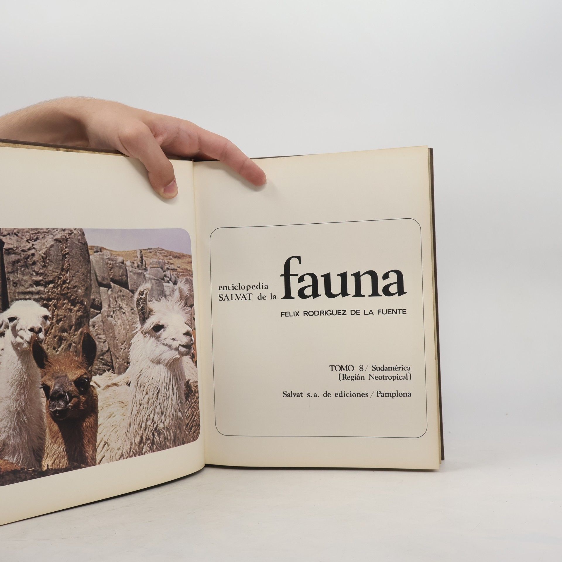 AA.VV. Enciclopedia Salvat de la Fauna 8