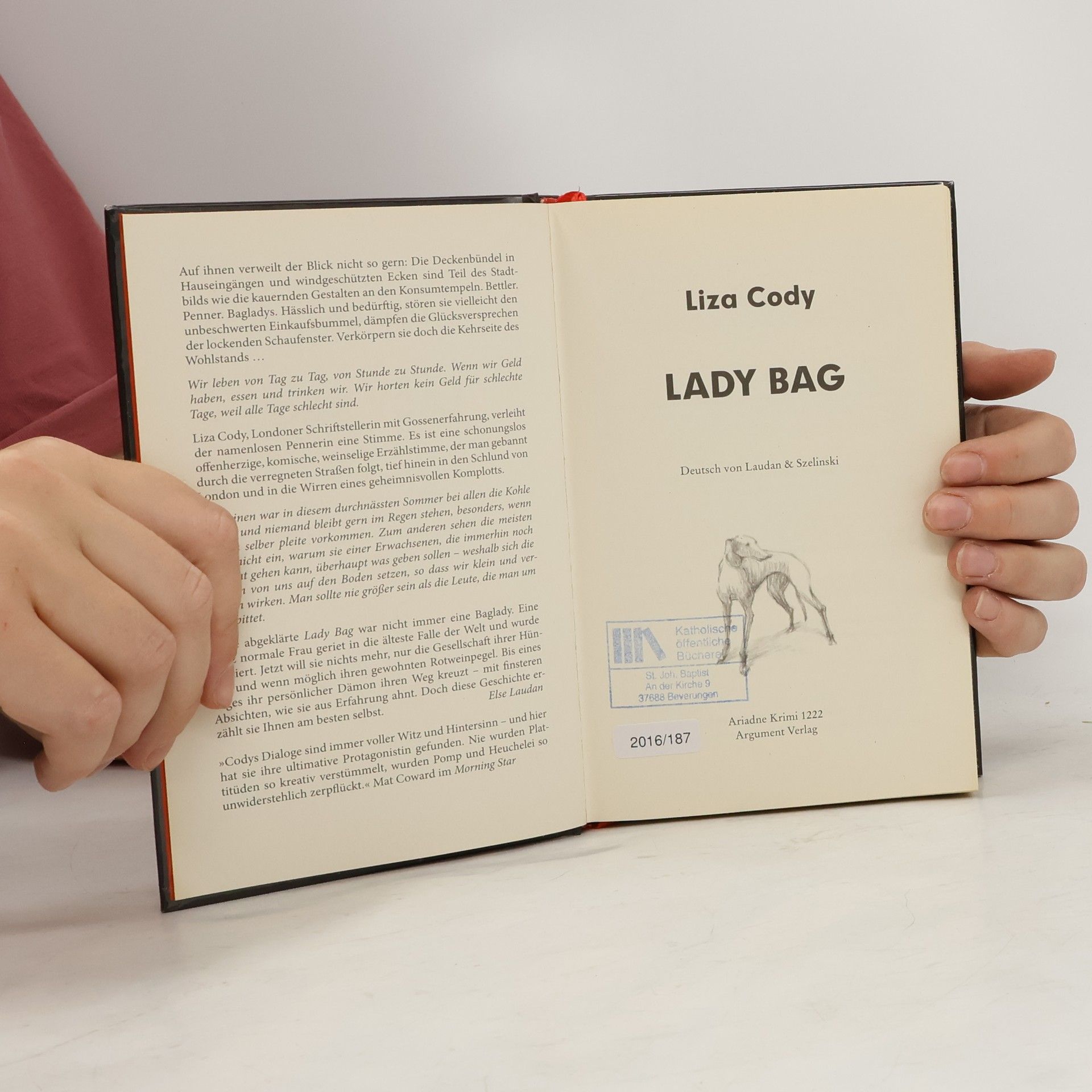 Liza Cody Lady Bag