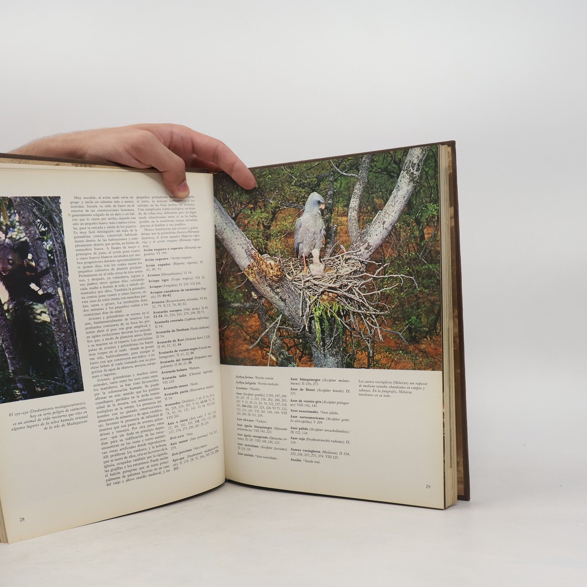 Félix Rodríguez de la Fuente Fauna 11. Indice