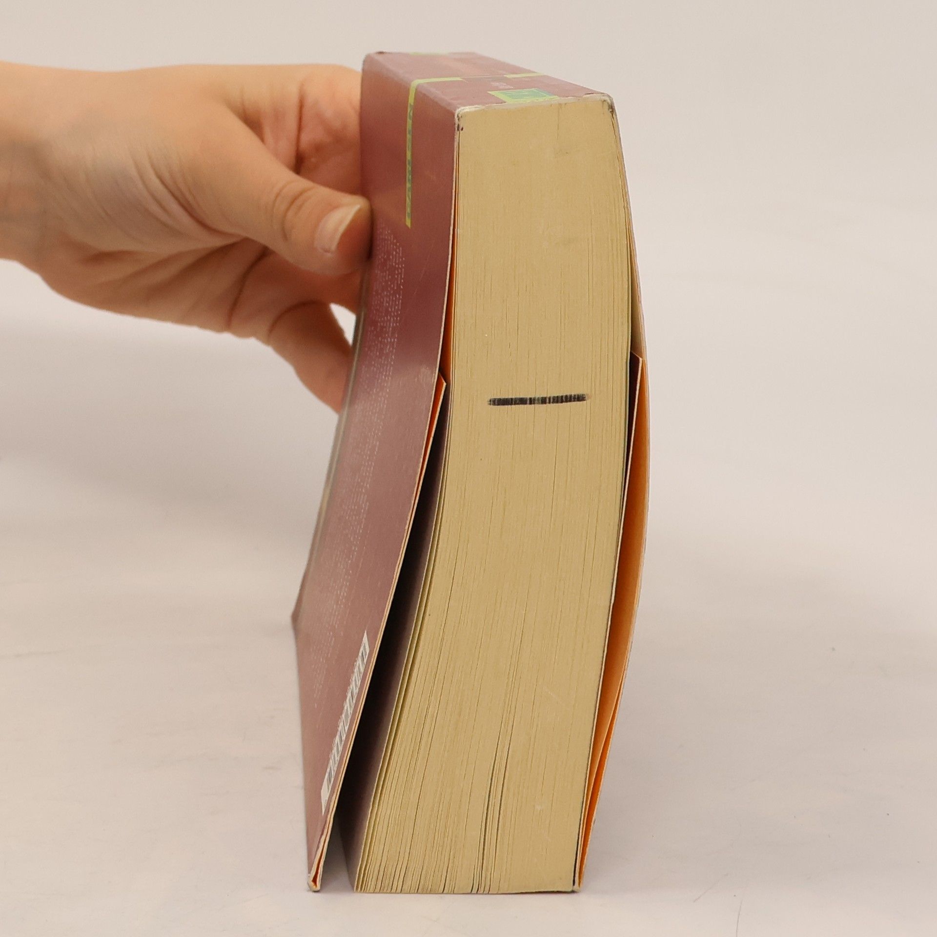 Jane Yolen Das Geheimnis des magischen Schwertes