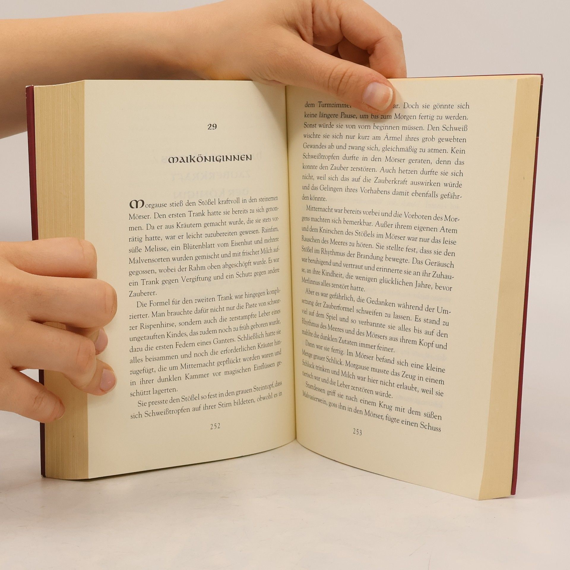 Jane Yolen Das Geheimnis des magischen Schwertes