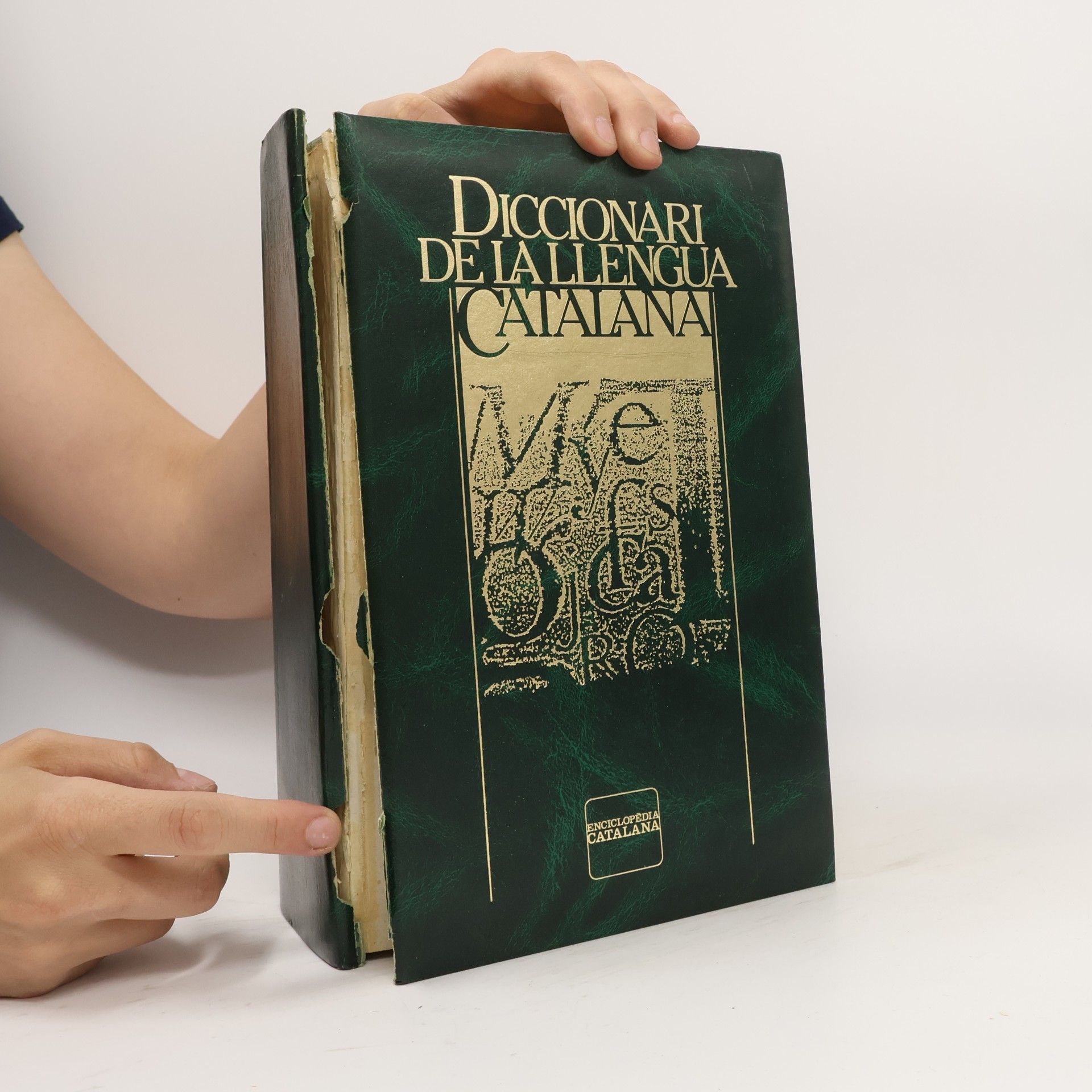Marc Sagrista I. Artigas Diccionari de la llengua catalana
