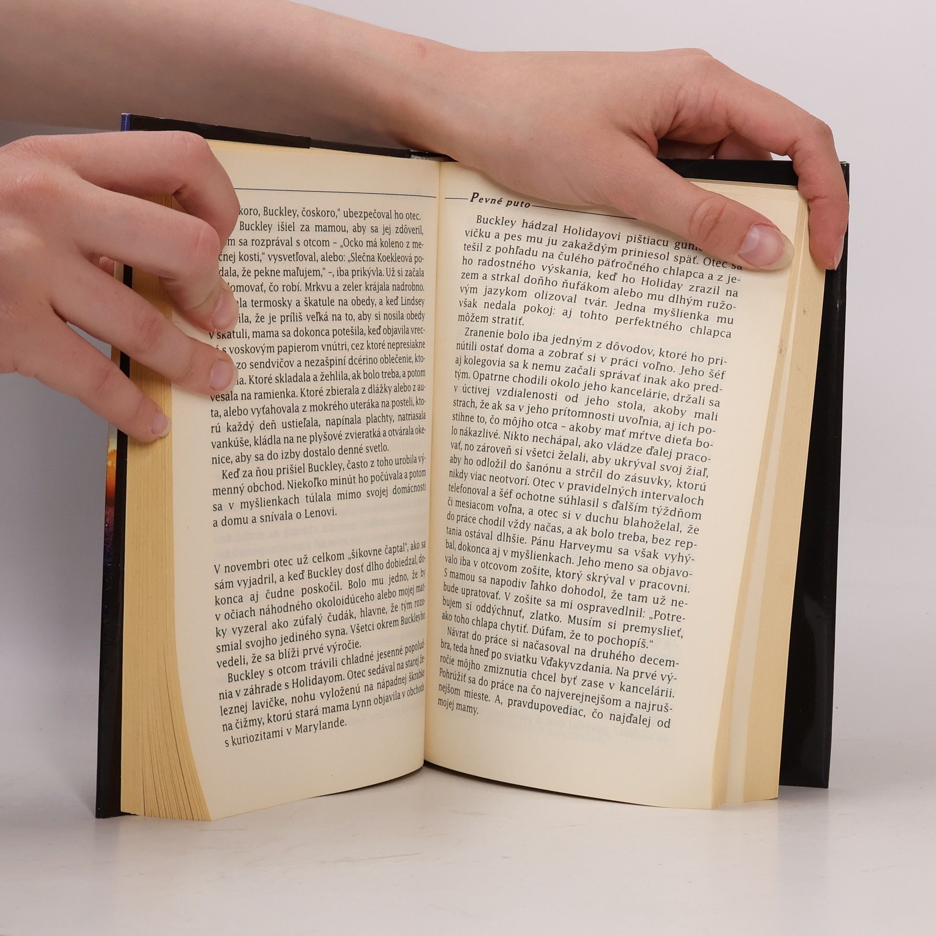 Alice Sebold Pevné puto