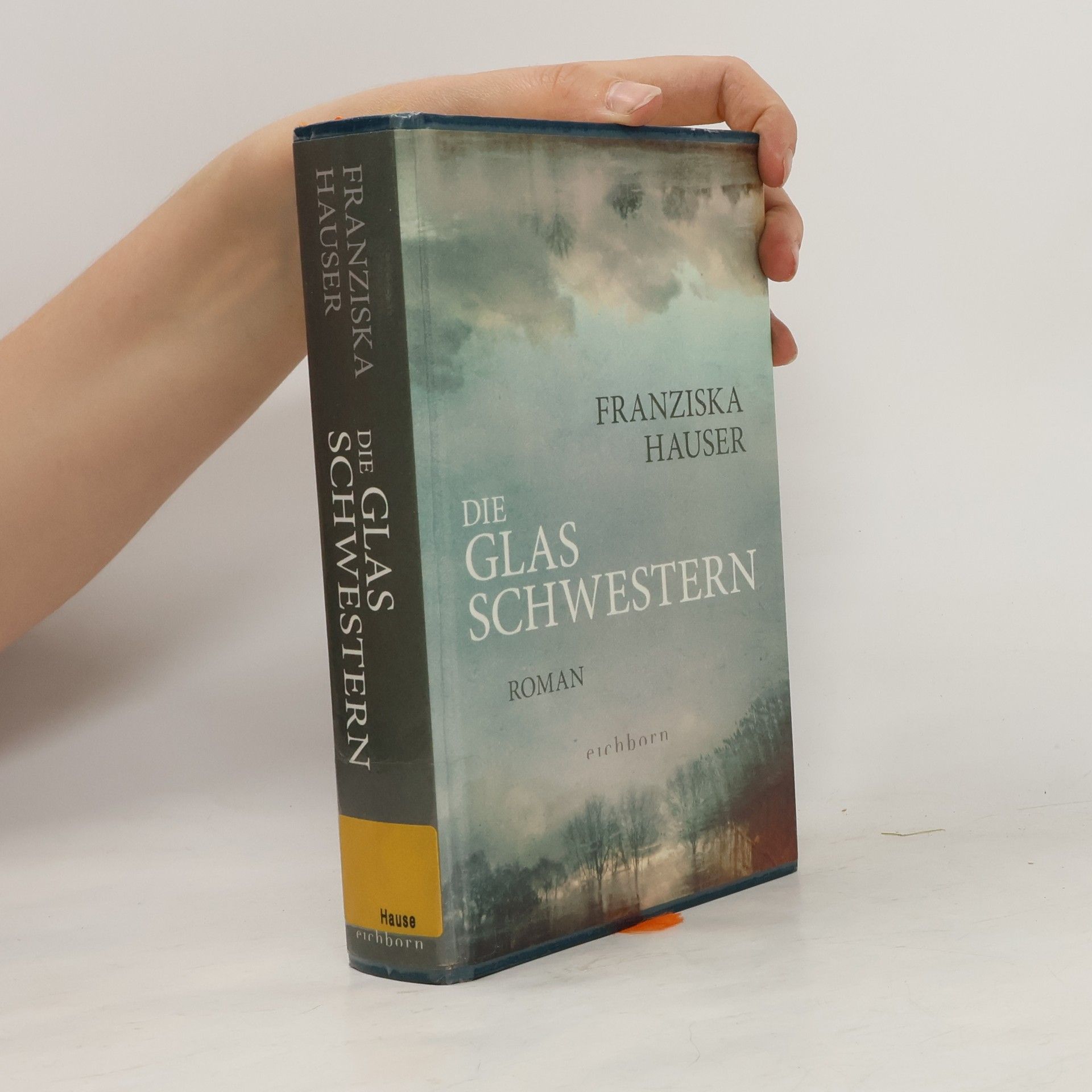 Franziska Hauser Die Glasschwestern