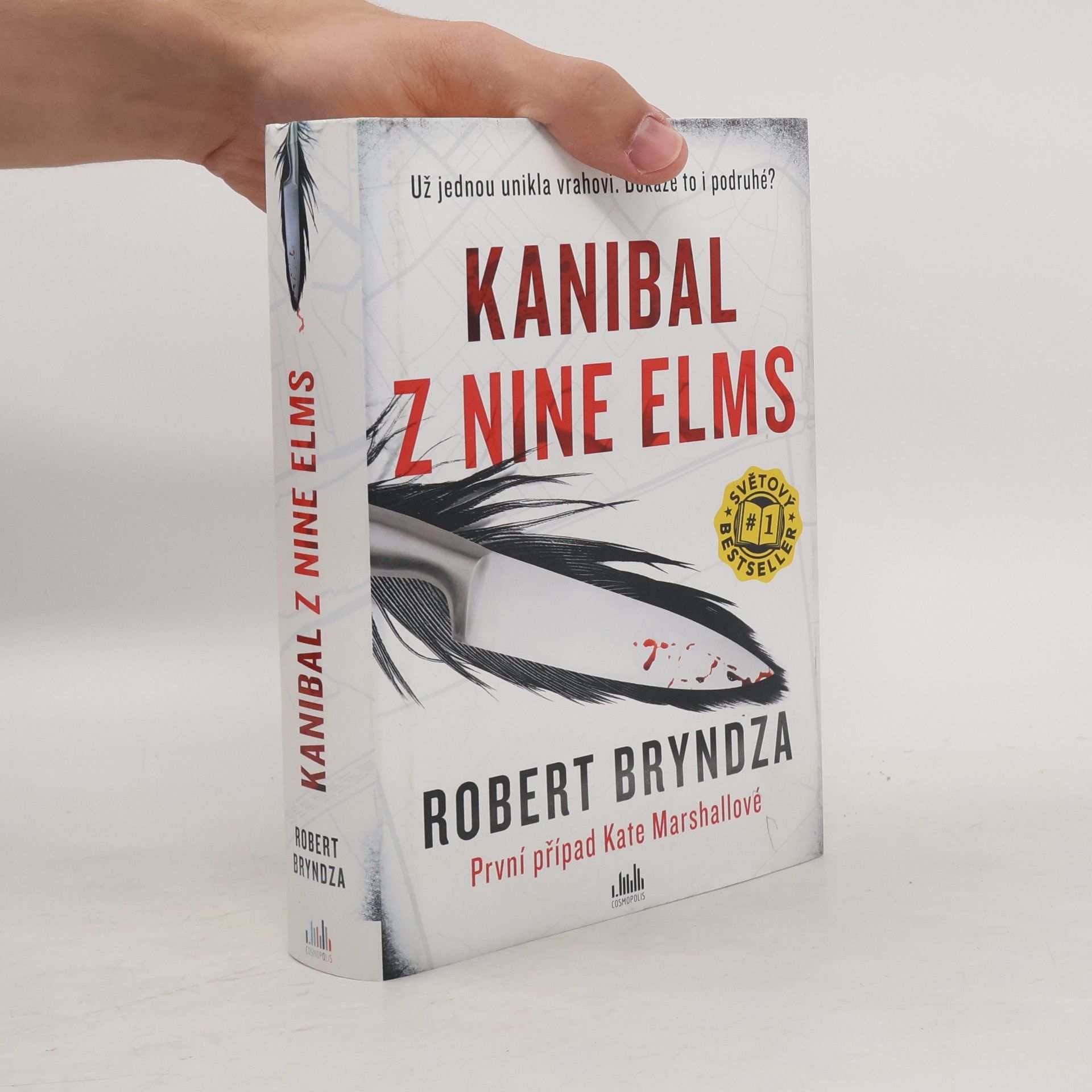 Robert Bryndza Kanibal z Nine Elms