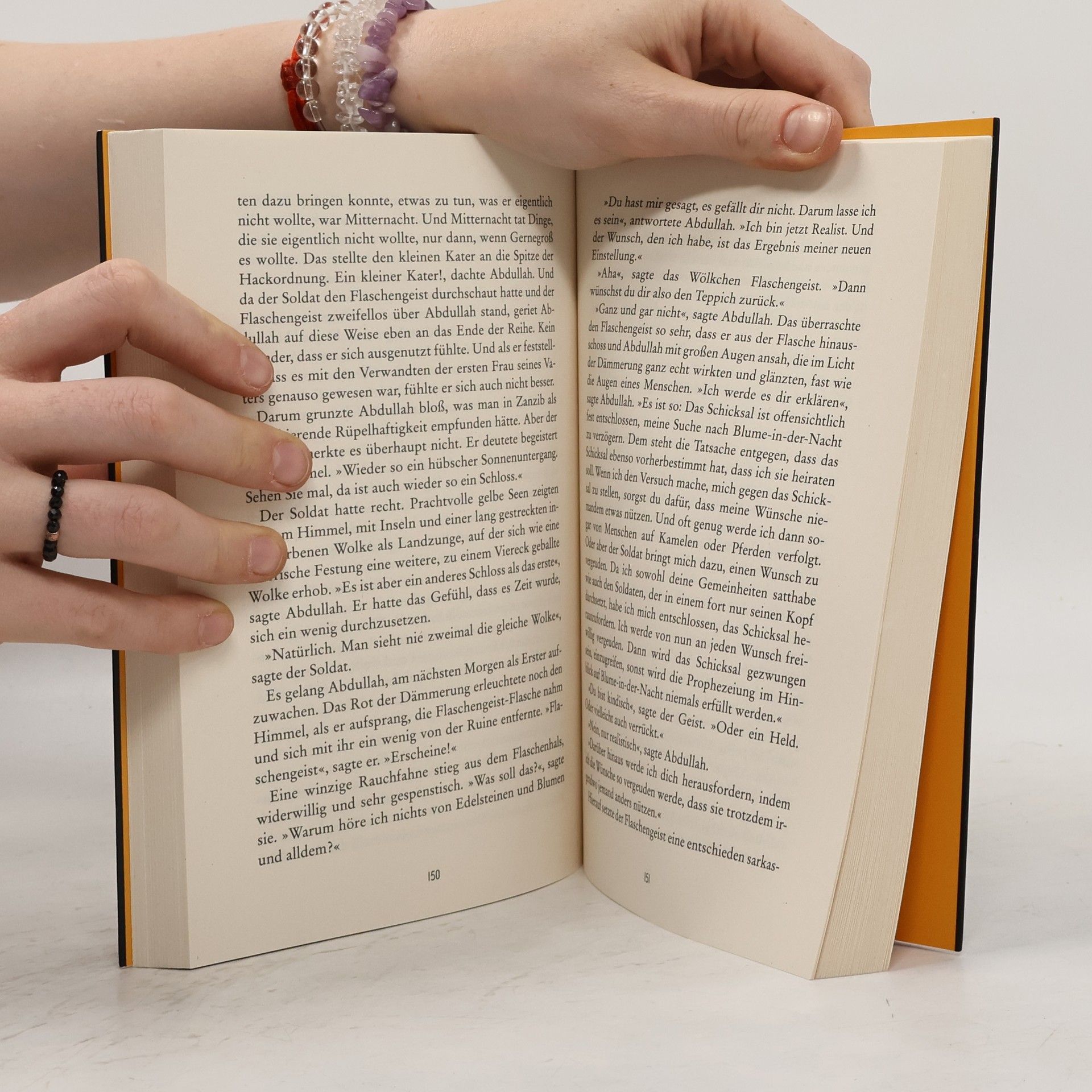 Diana Wynne Jones Der Palast im Himmel