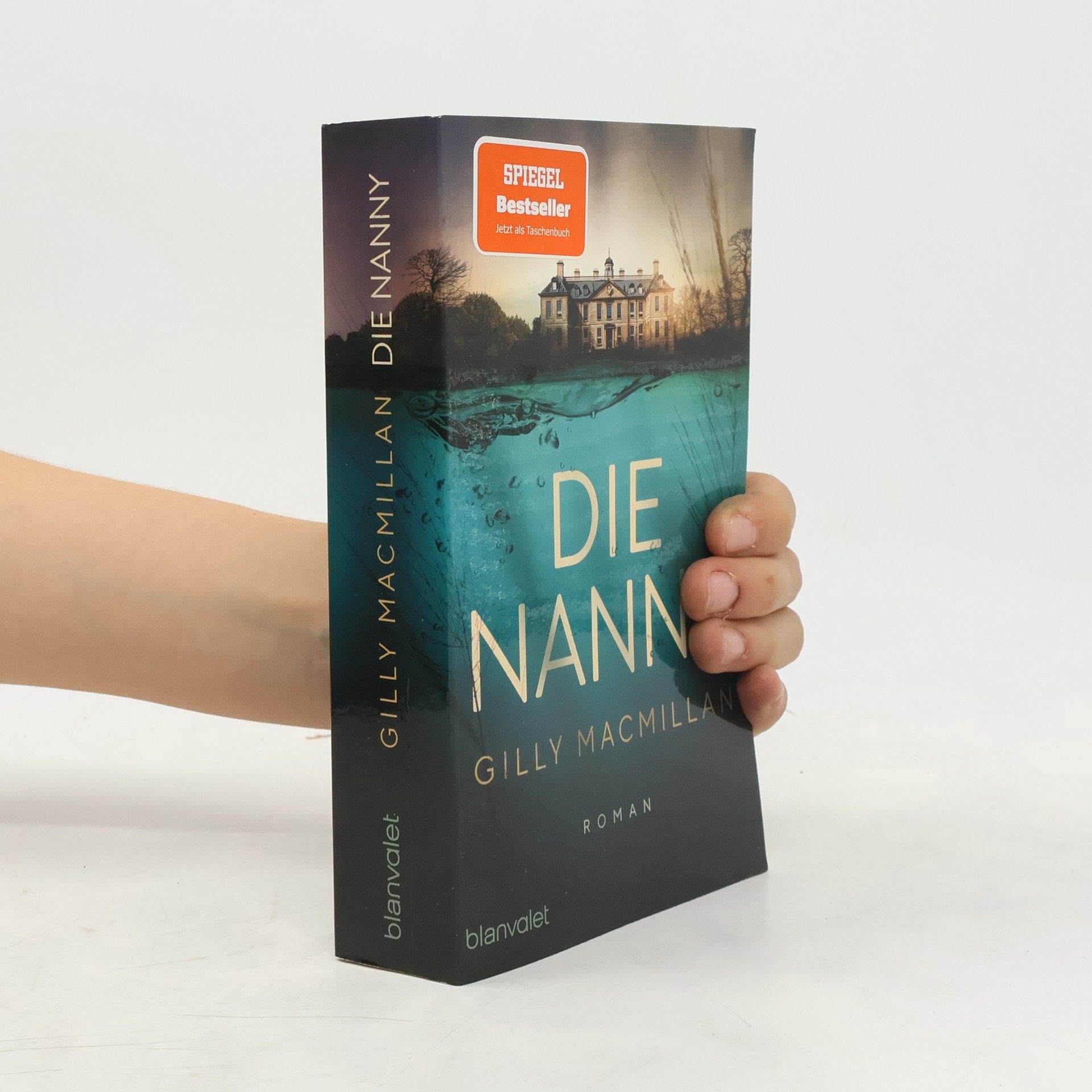 Gilly Macmillan Die Nanny