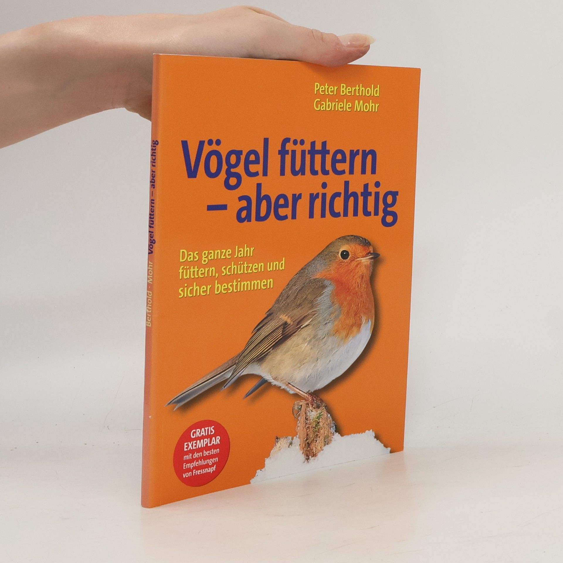 Vögel füttern - aber richtig