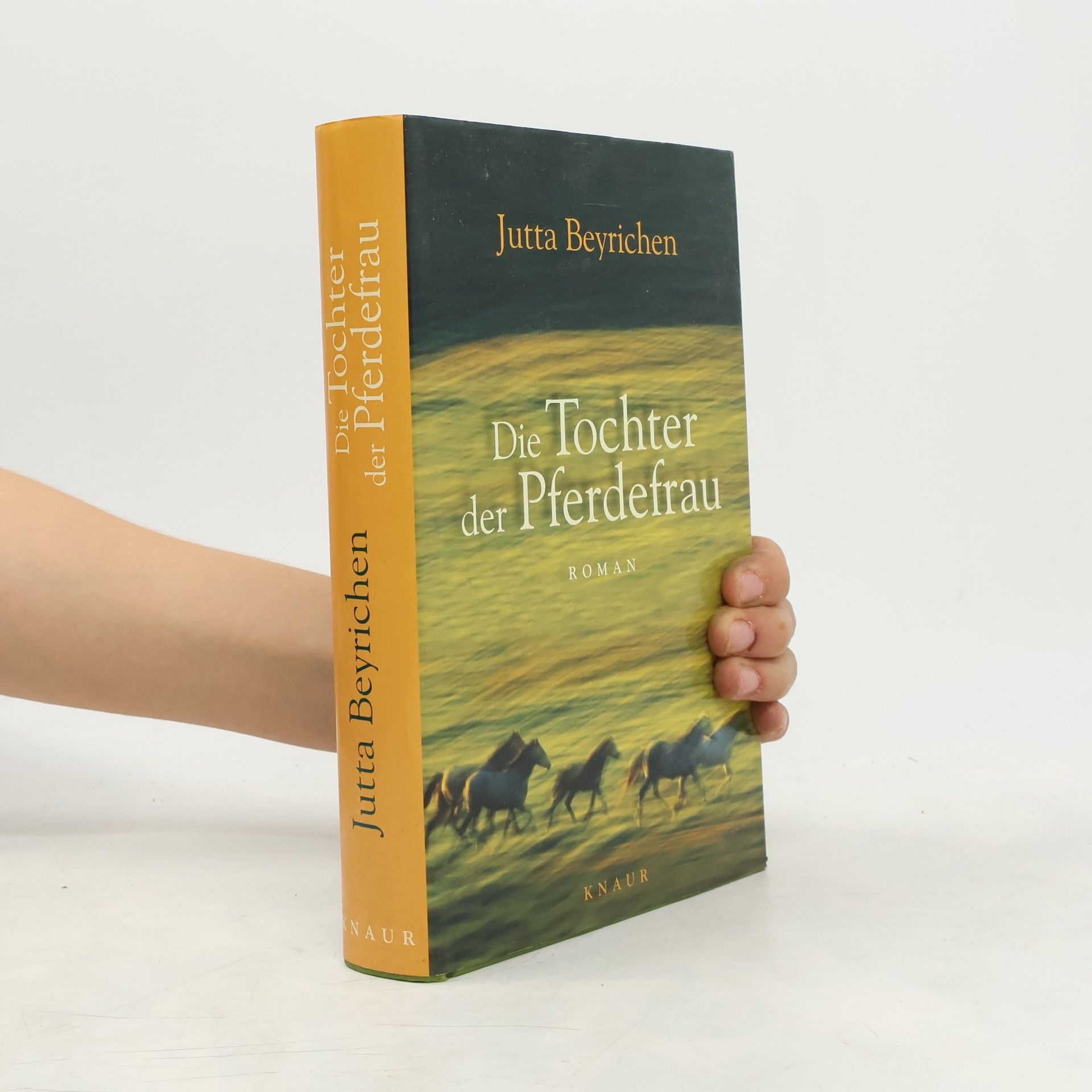 Jutta Beyrichen Die Tochter der Pferdefrau