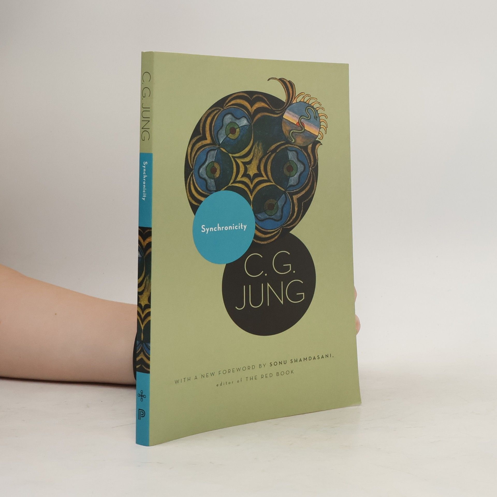 Carl Jung Synchronicity