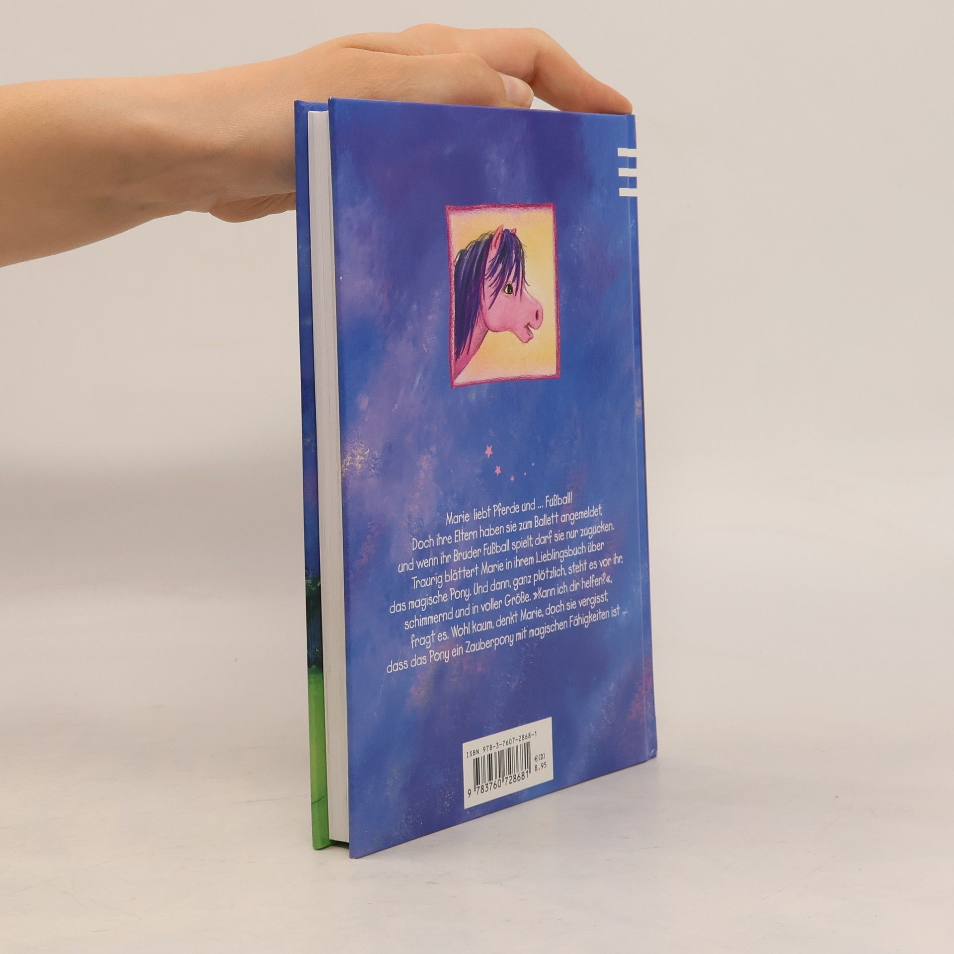Heidemarie Brosche Marie und das magische Pony