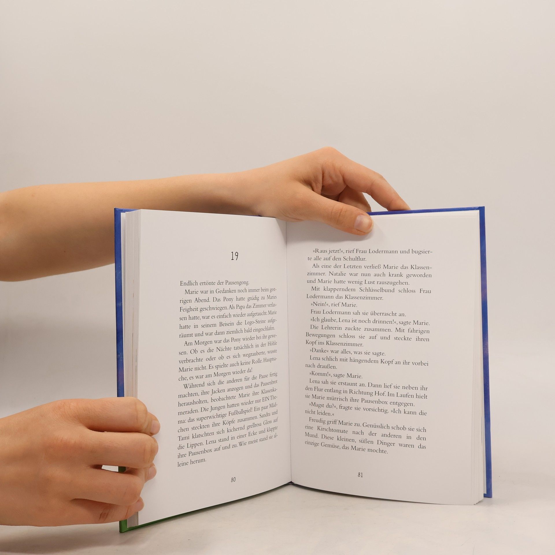 Heidemarie Brosche Marie und das magische Pony
