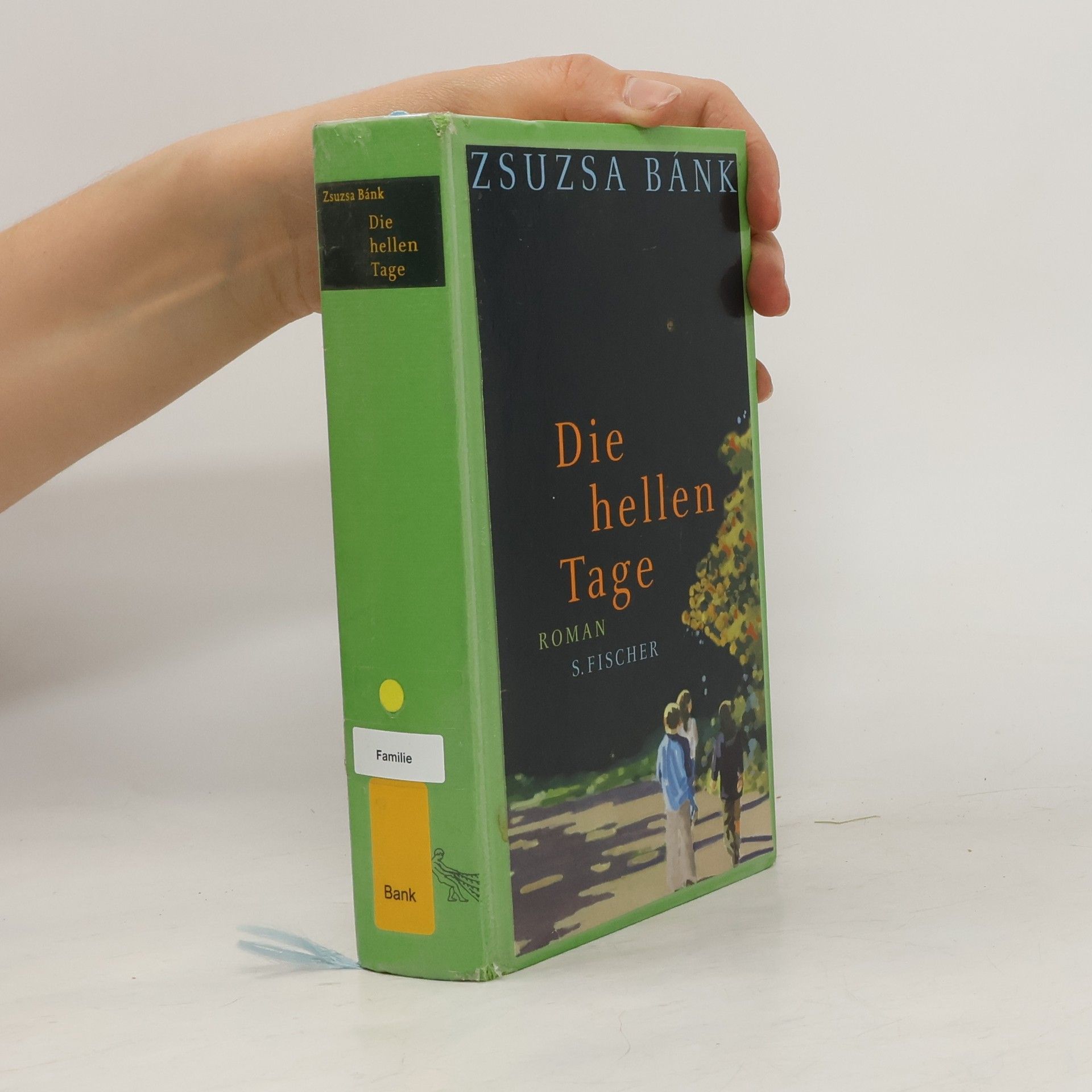 Zsuzsa Bánk Die hellen Tage