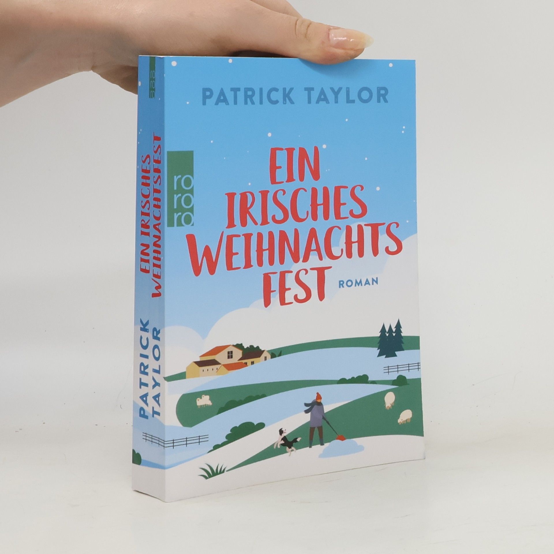 Patrick Taylor Ein irisches Weihnachtsfest / Der irische Landarzt Bd.3