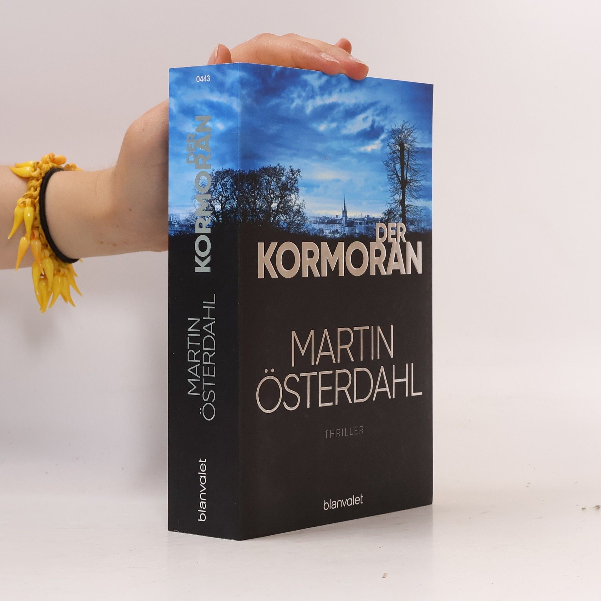 Martin Österdahl Der Kormoran