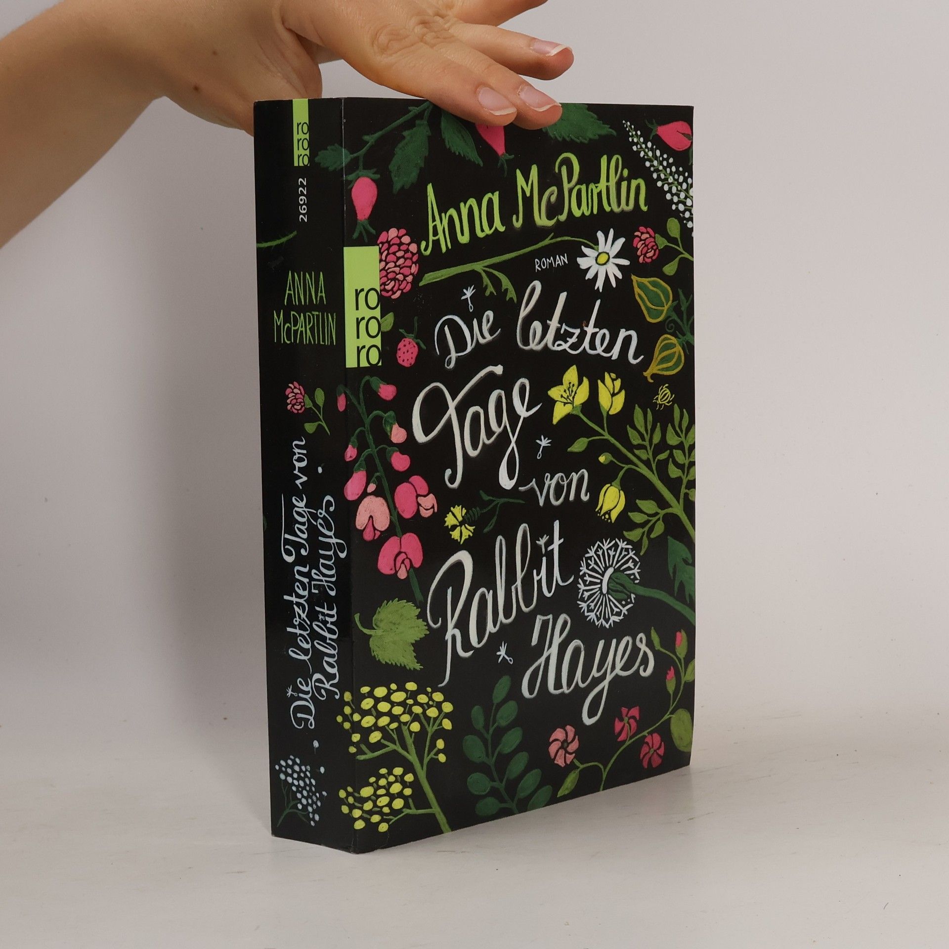 Anna McPartlin Die letzten Tage von Rabbit Hayes