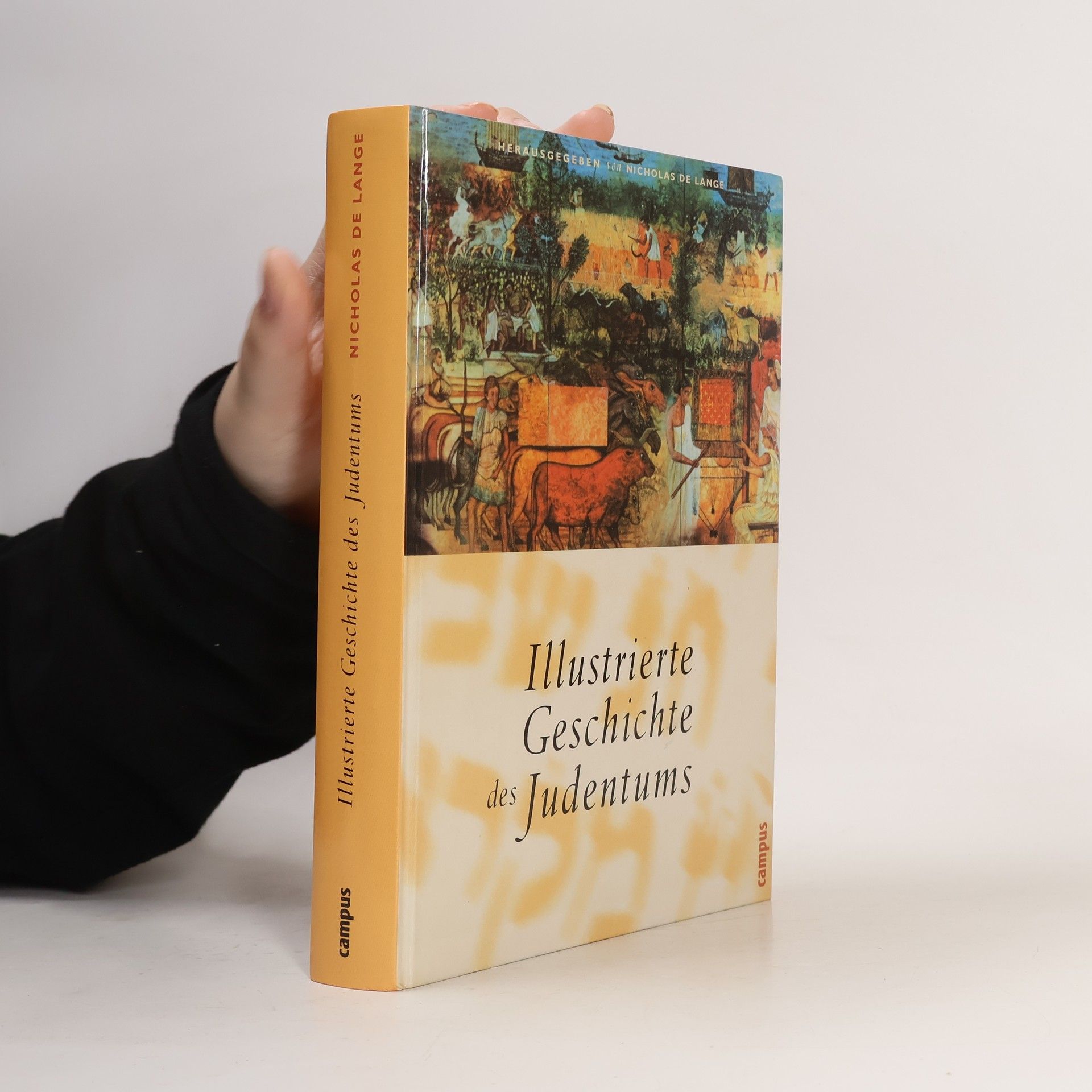 Nicholas Robert Michael De Lange Illustrierte Geschichte des Judentums