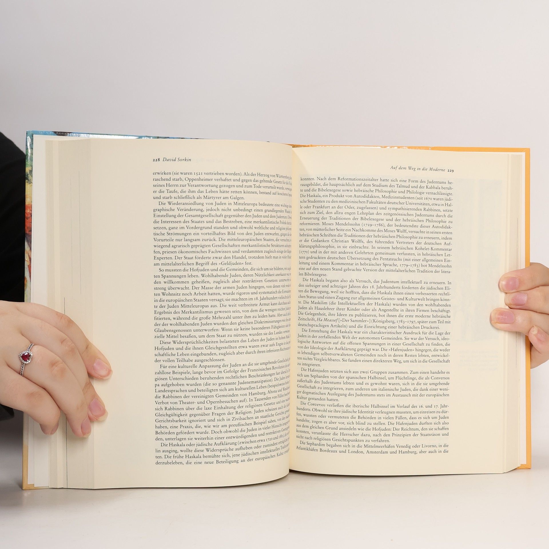 Nicholas Robert Michael De Lange Illustrierte Geschichte des Judentums