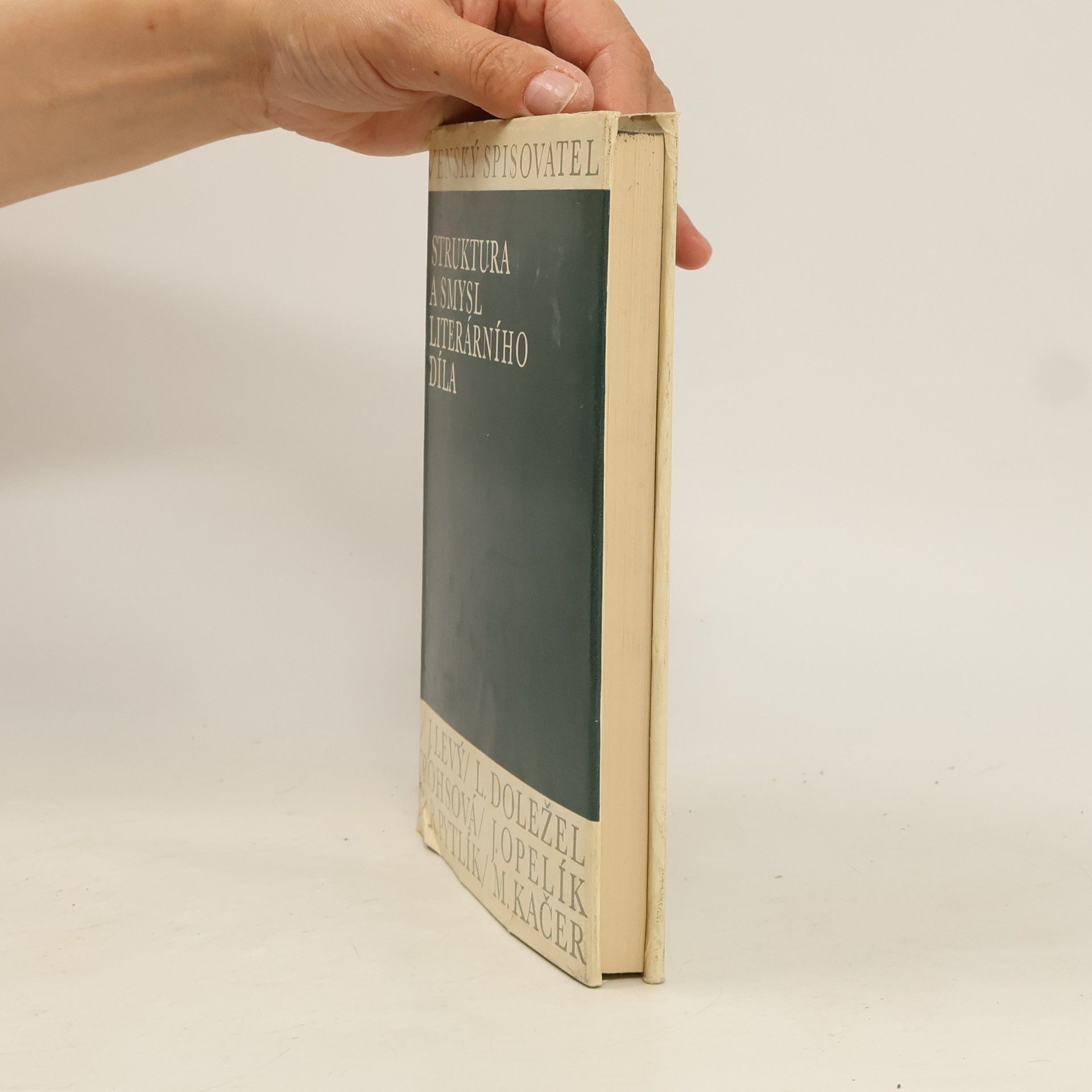 Autorenkollektiv Struktura a smysl literárního díla