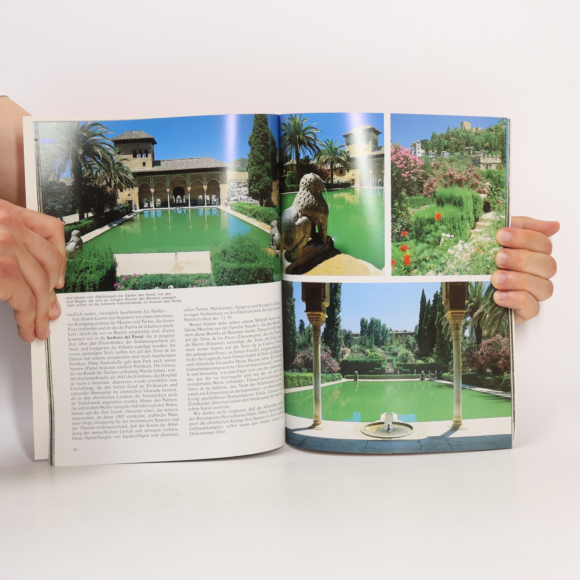 Carlos Pascual Granada und die Alhambra