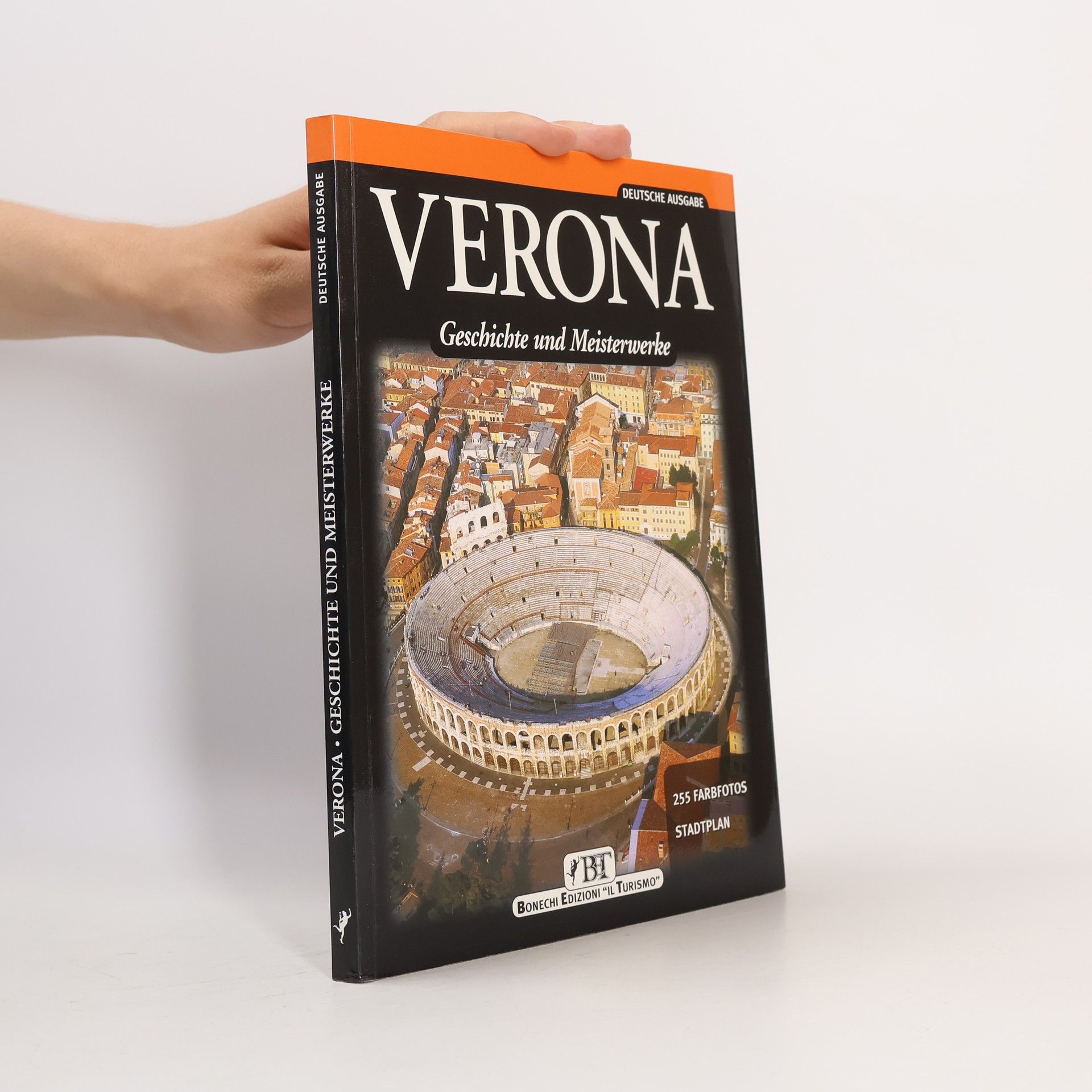 Renzo Chiarelli Verona. Geschichte und Meisterwerke