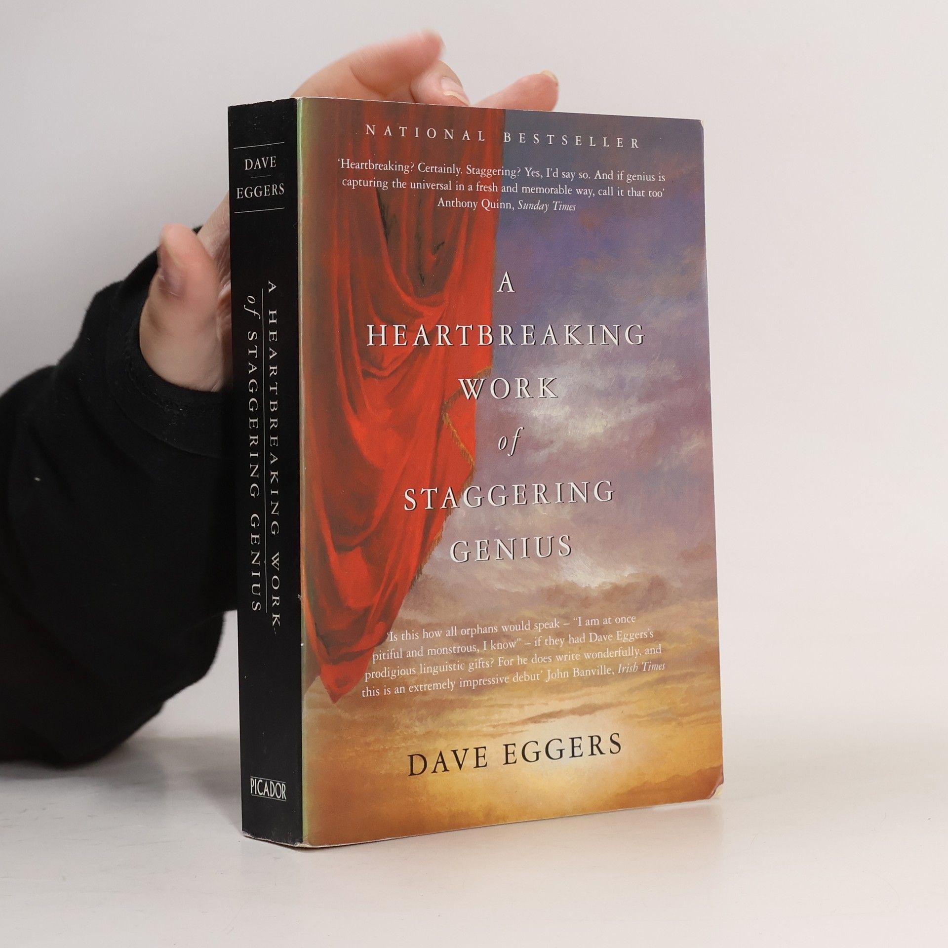 Dave Eggers A heartbreaking work of staggering genius
