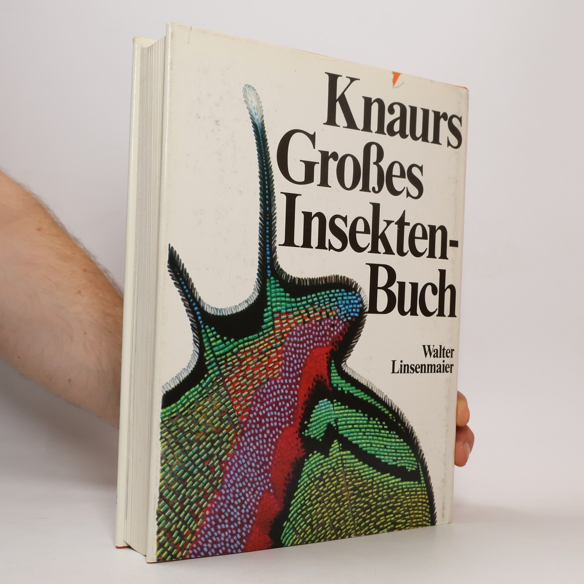 Walter Linsenmaier Knaurs grosses Insektenbuch