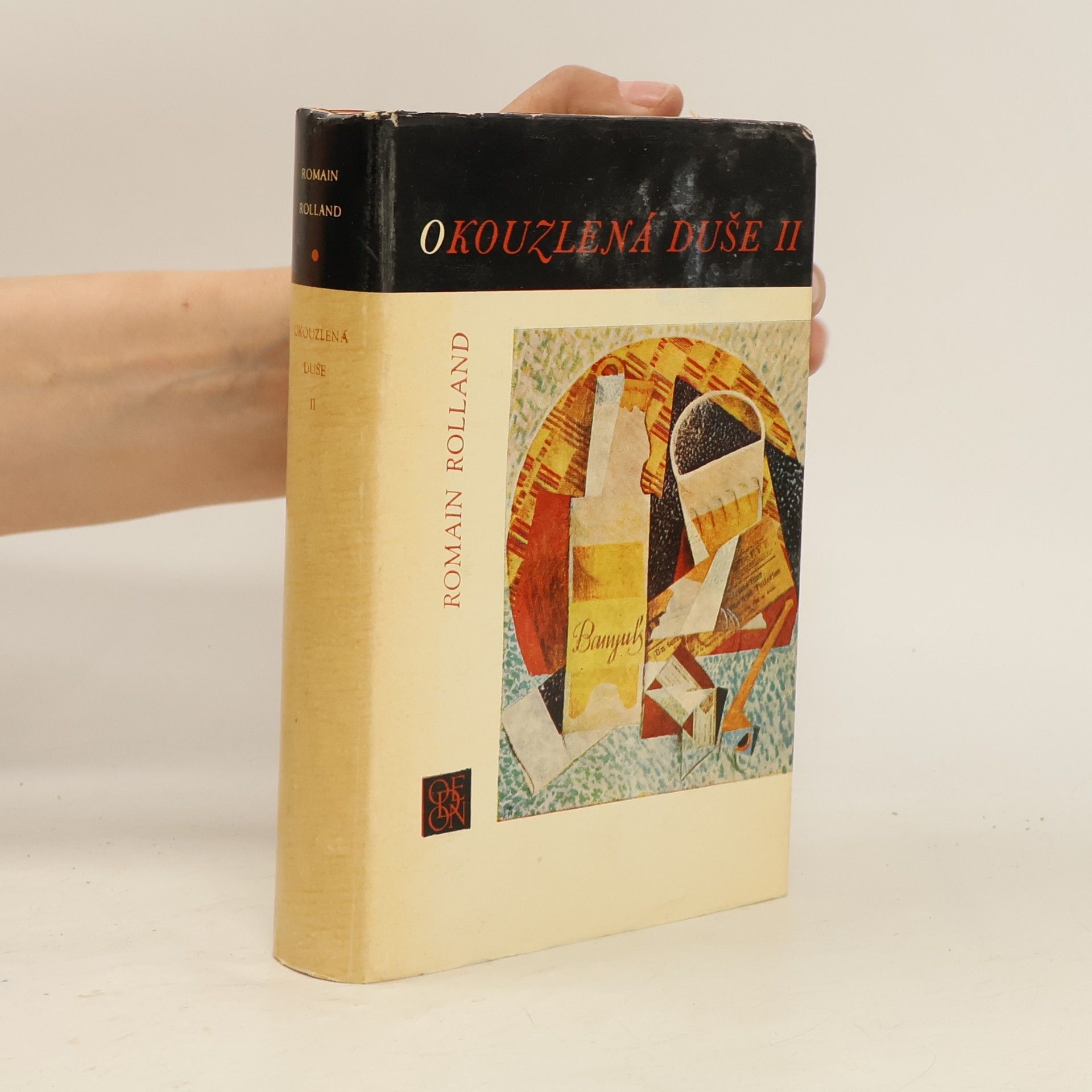 Romain Rolland Okouzlená duše II.