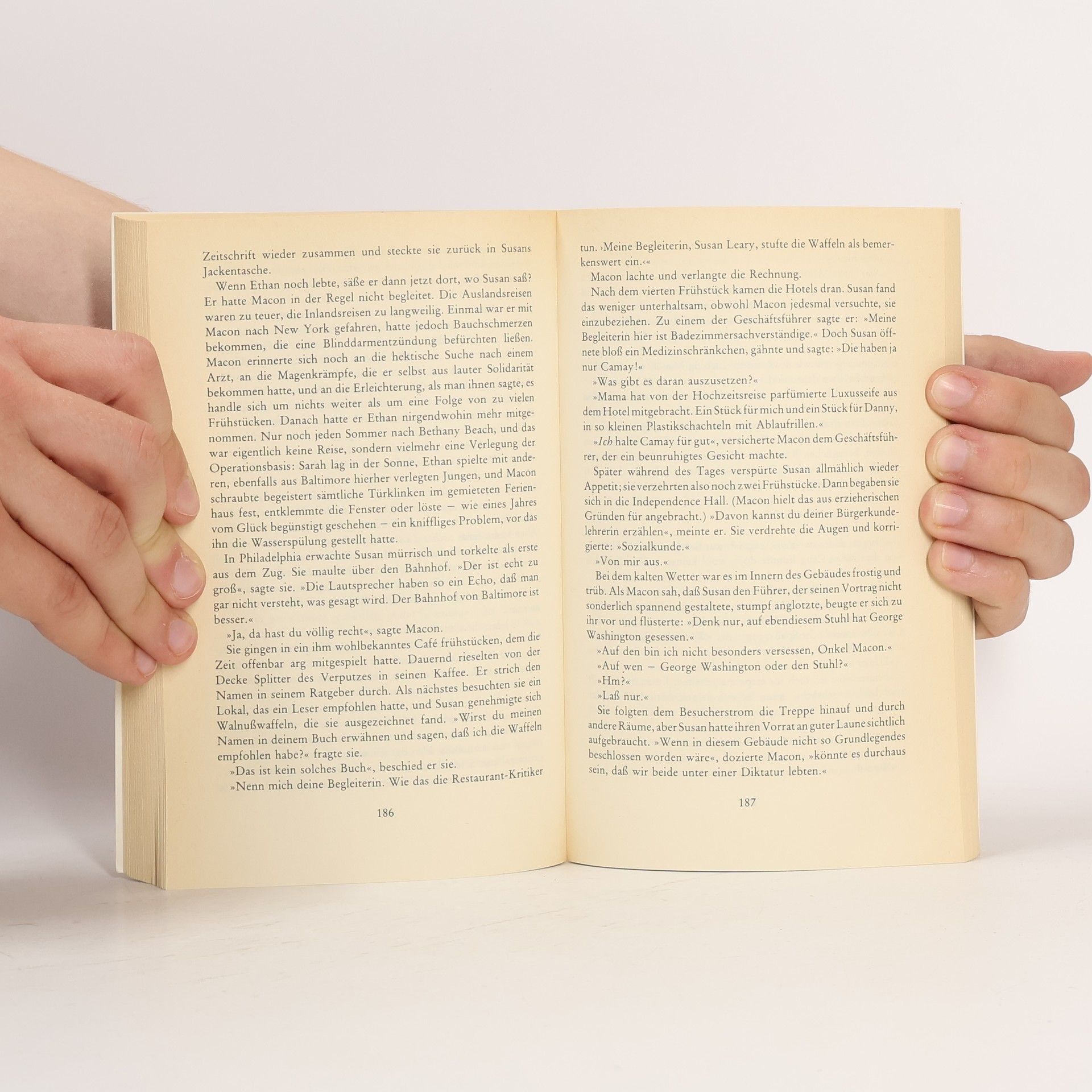 Anne Tyler Die Reisen des Mr. Leary