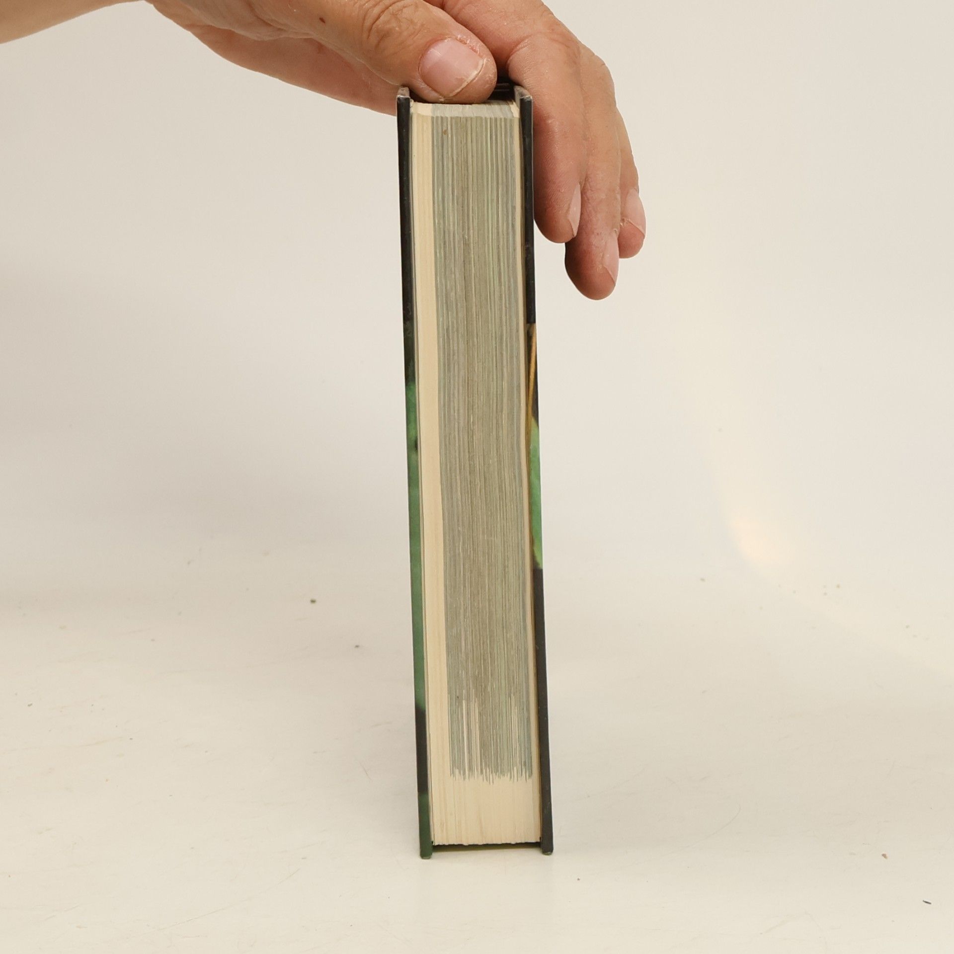 Rudolf Hrabák Kapesní atlas našich motýlů
