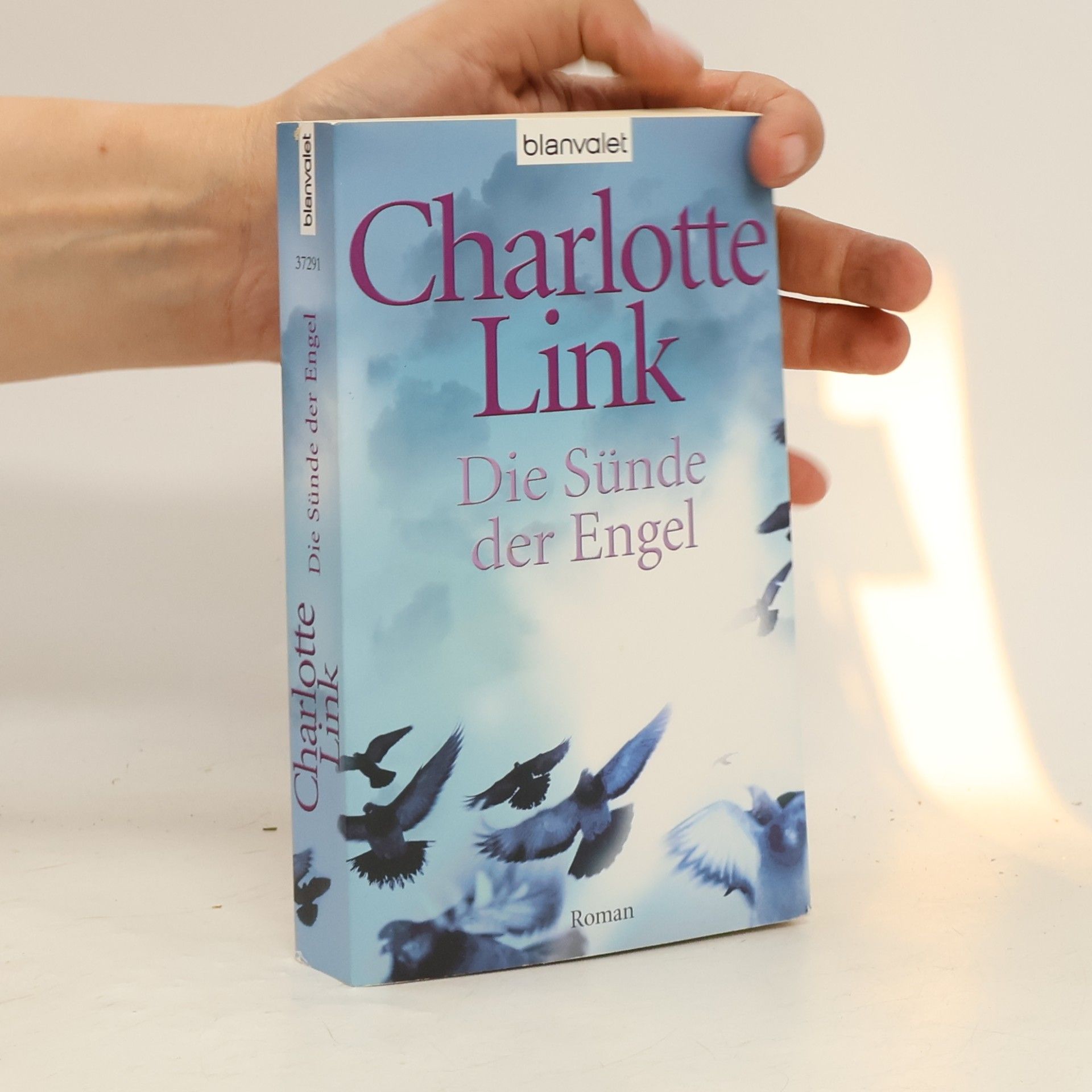 Charlotte Link Die Sünde der Engel