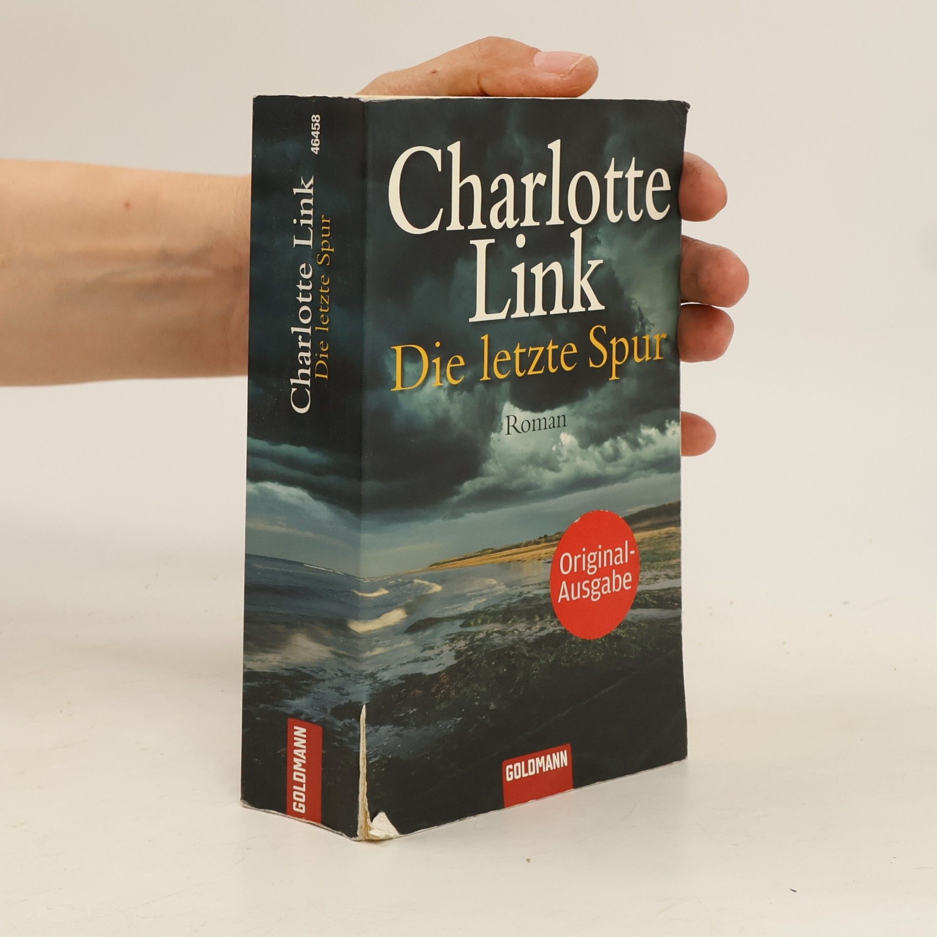 Charlotte Link Die letzte Spur