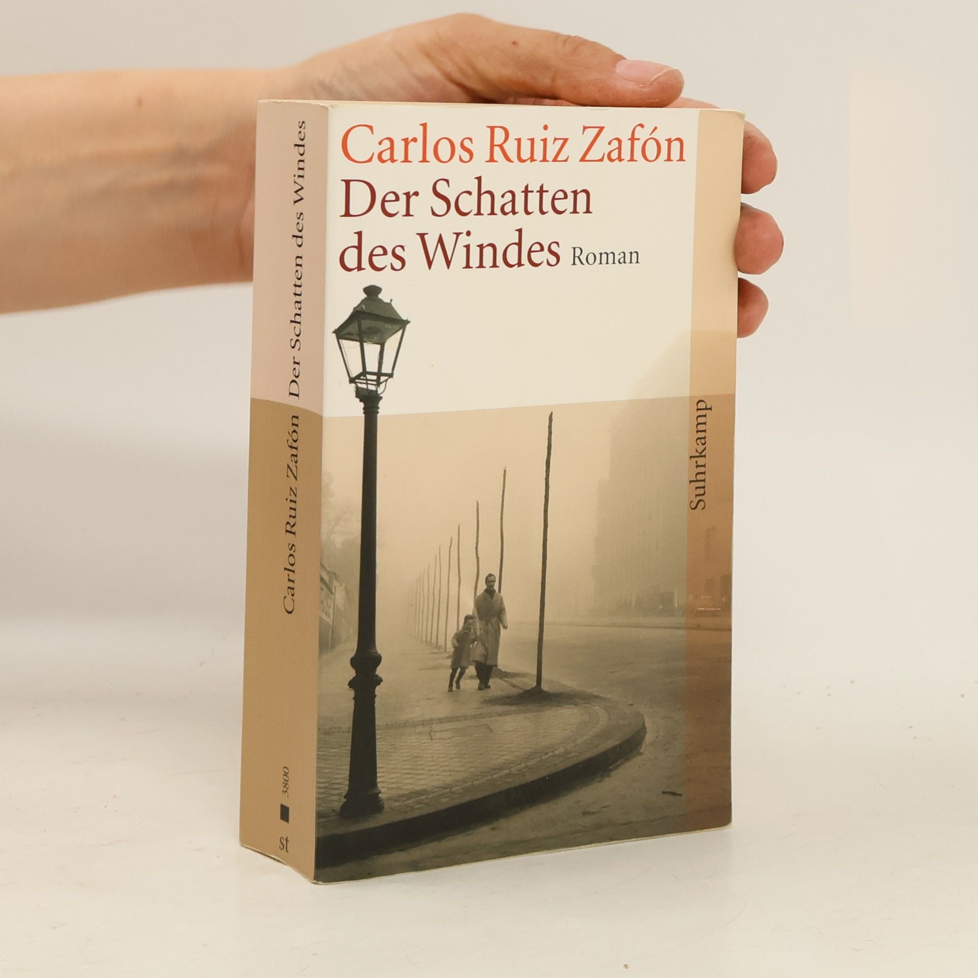 Carlos Ruiz Safon Der Schatten des Windes
