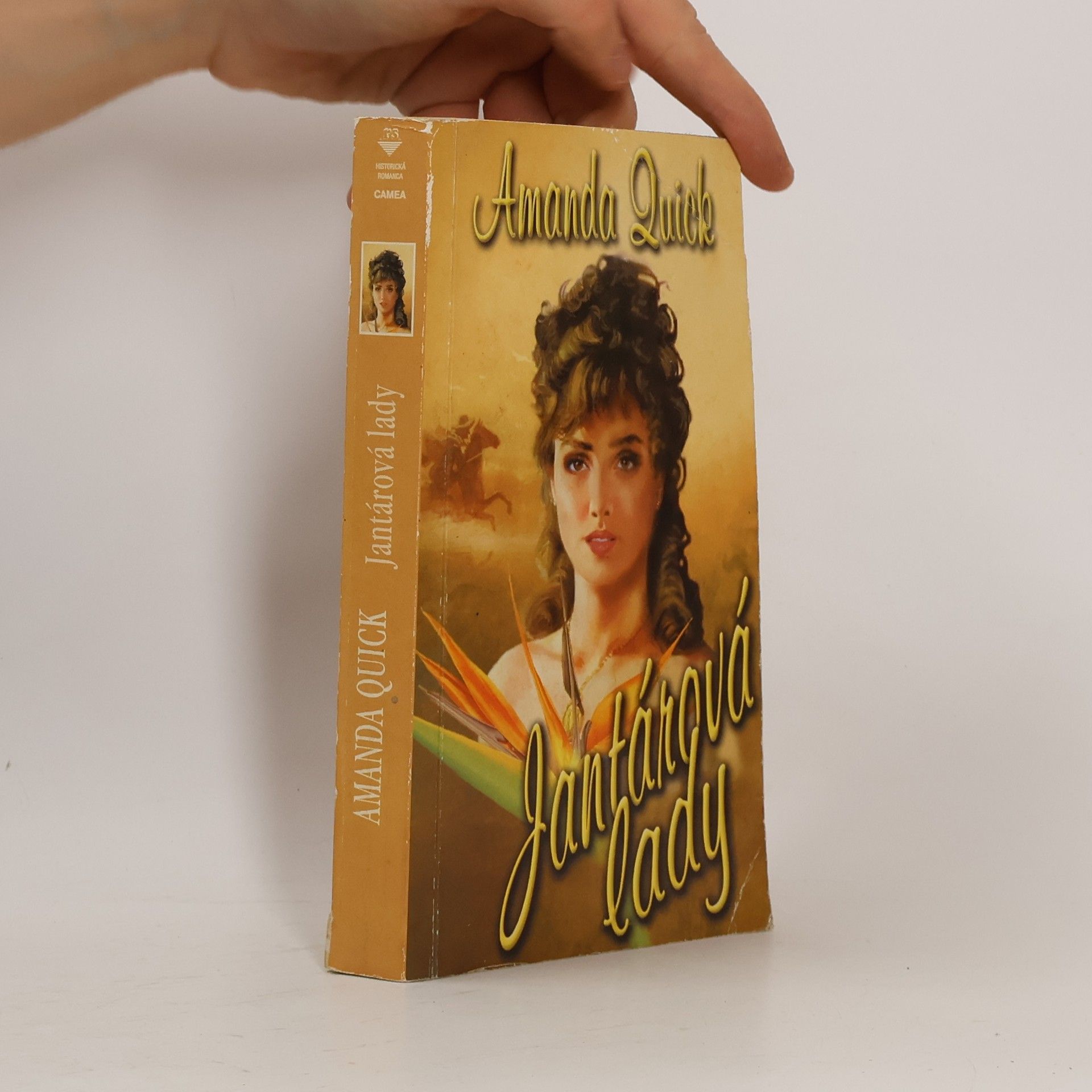 Jayne Ann Krentz Jantárová lady